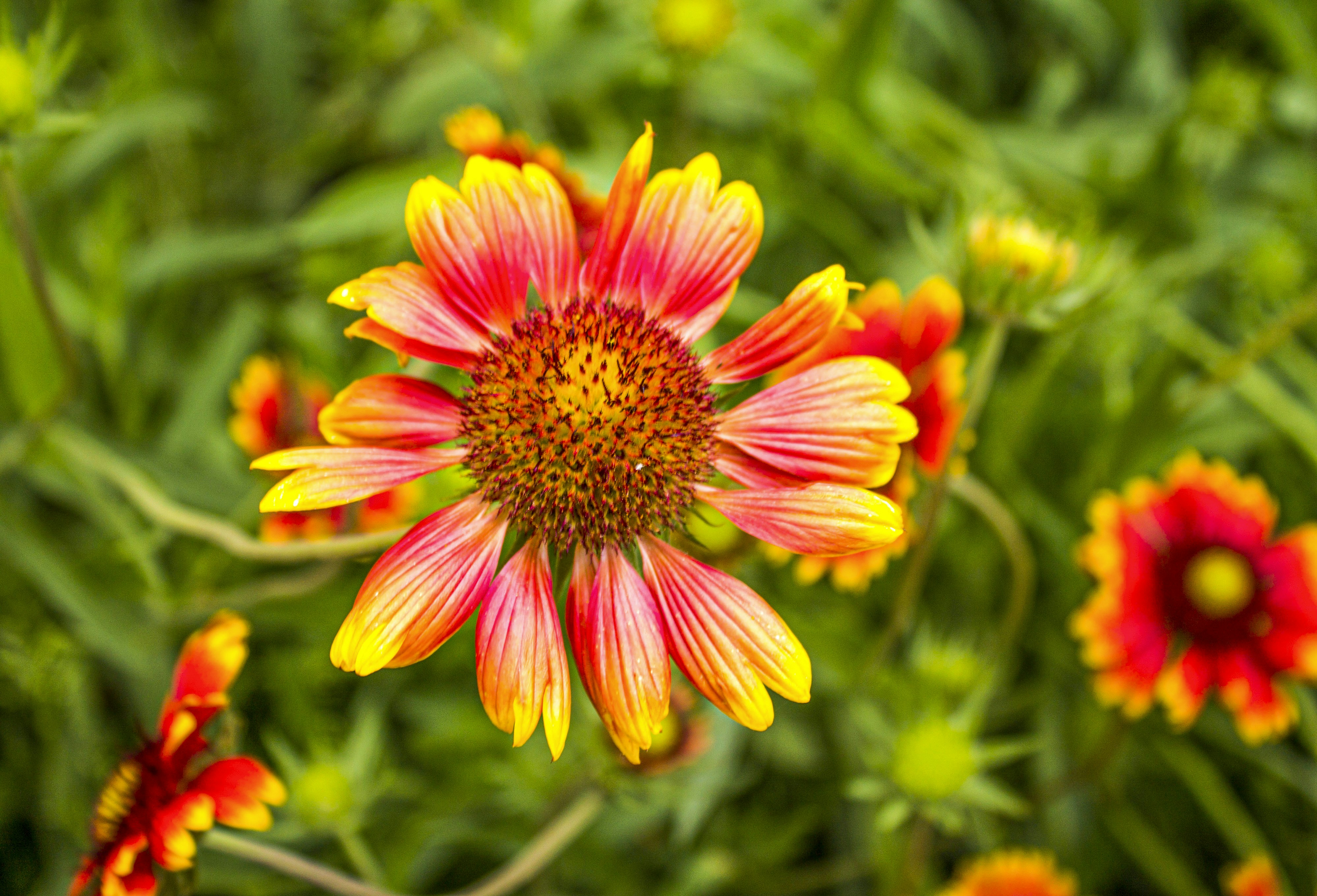 Photo by olgamusiichuck