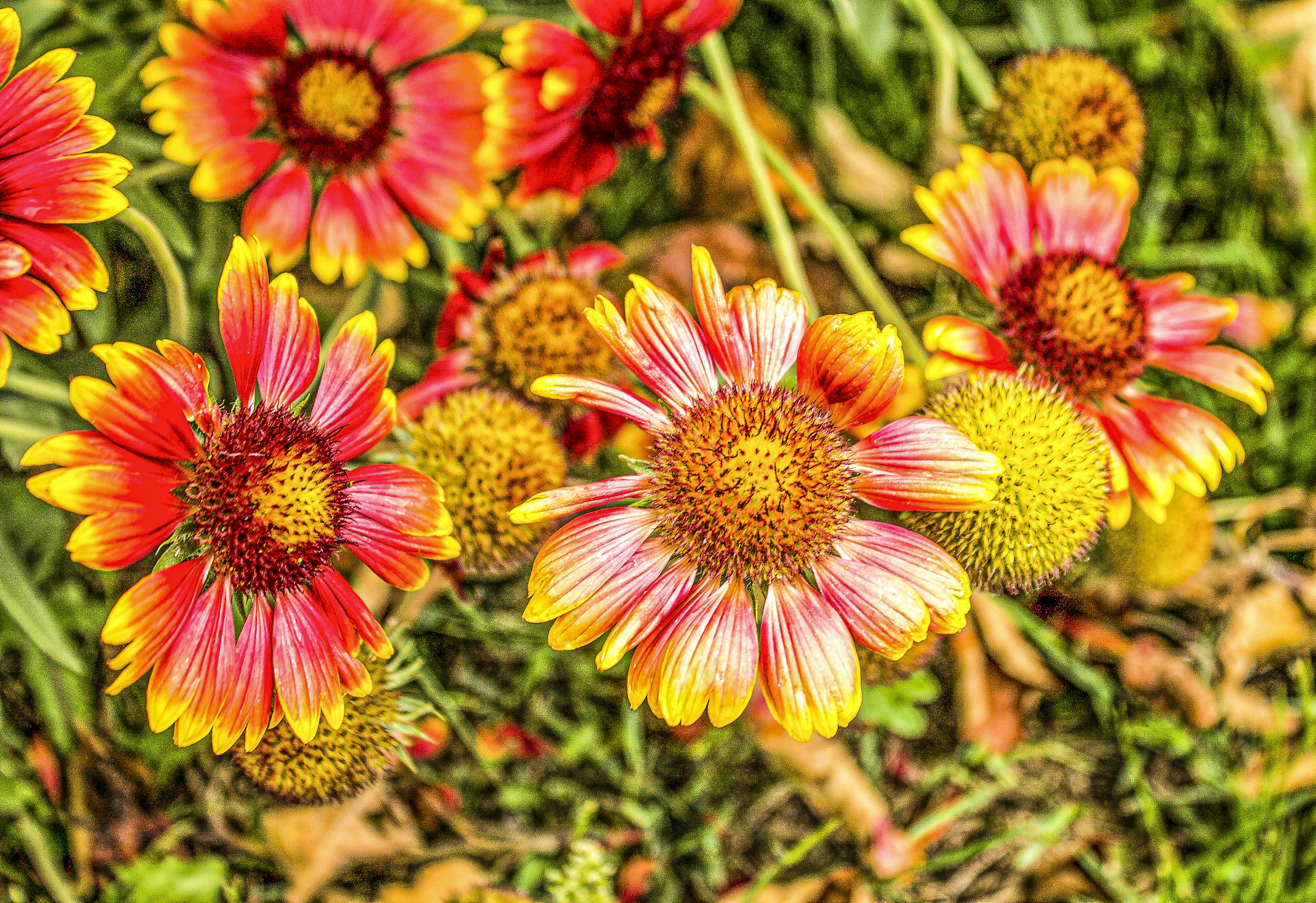 Photo by olgamusiichuck