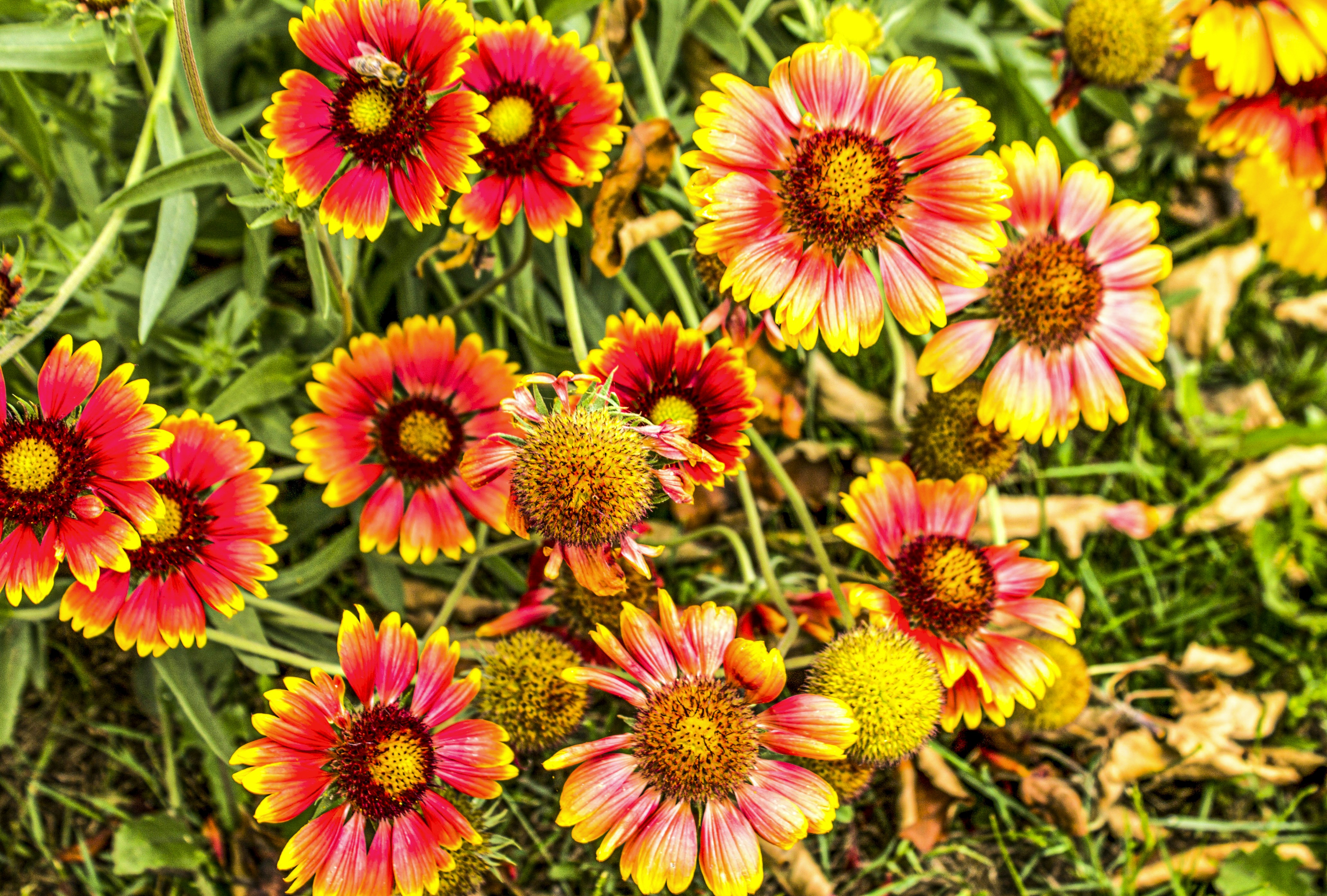 Photo by olgamusiichuck