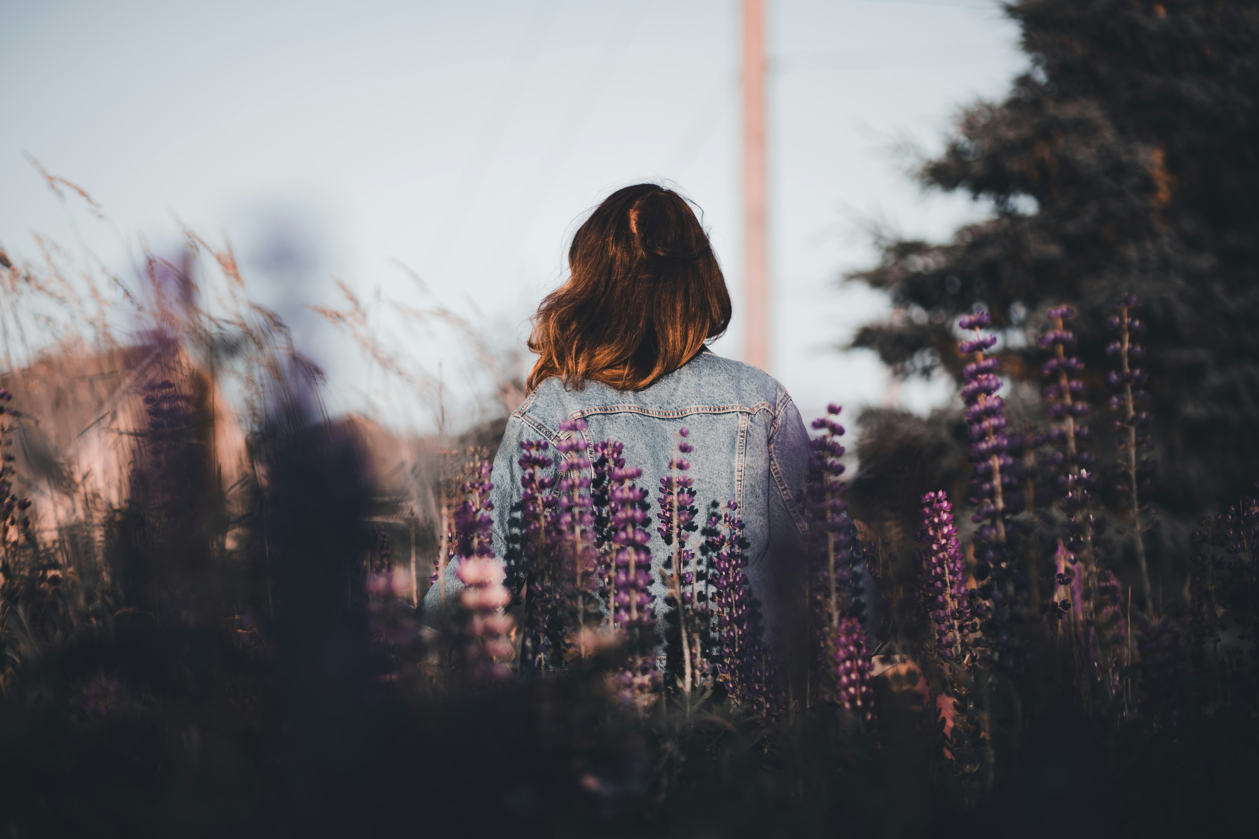 Photo by introspectivedsgn