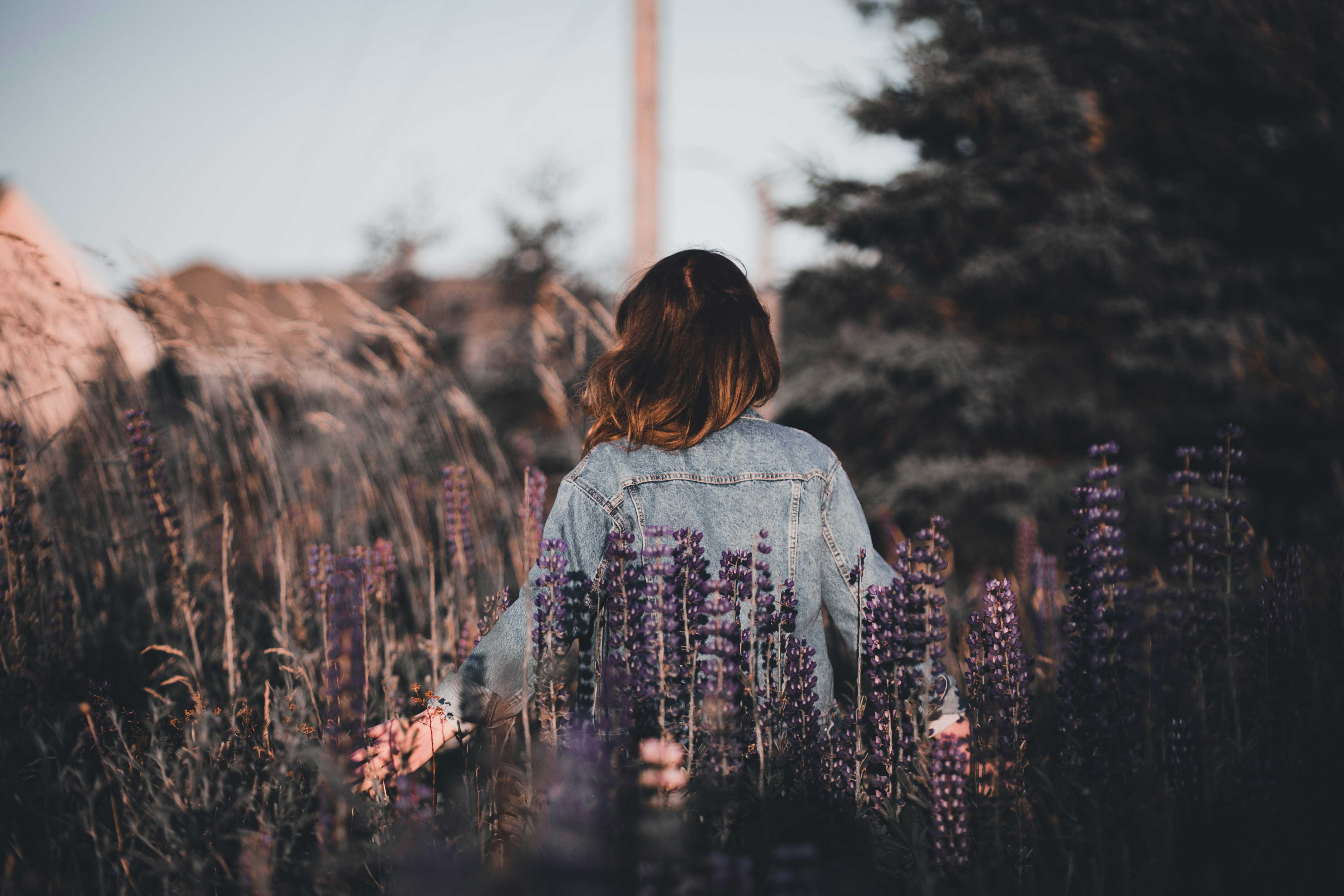 Photo by introspectivedsgn