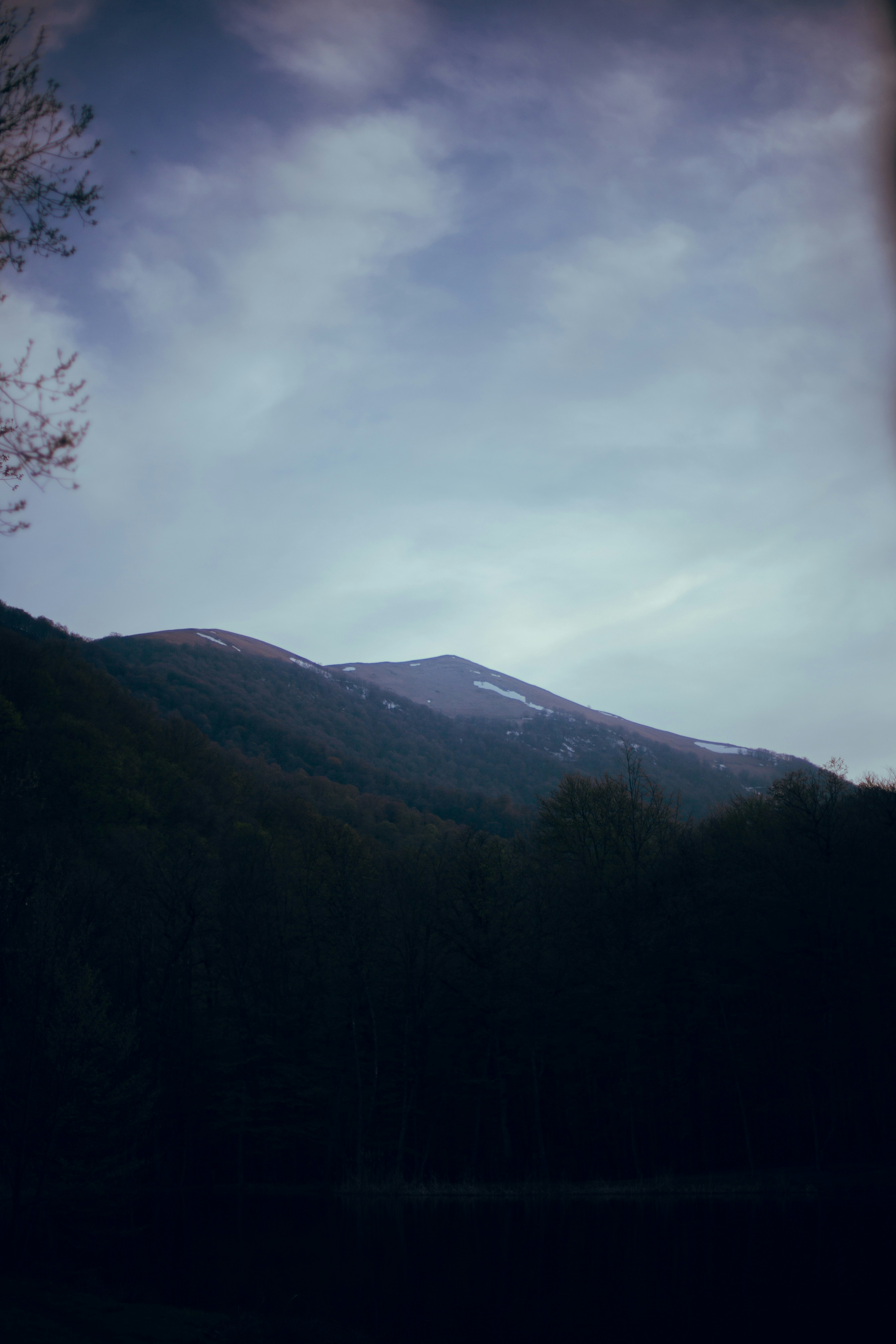 Photo by koryunhills