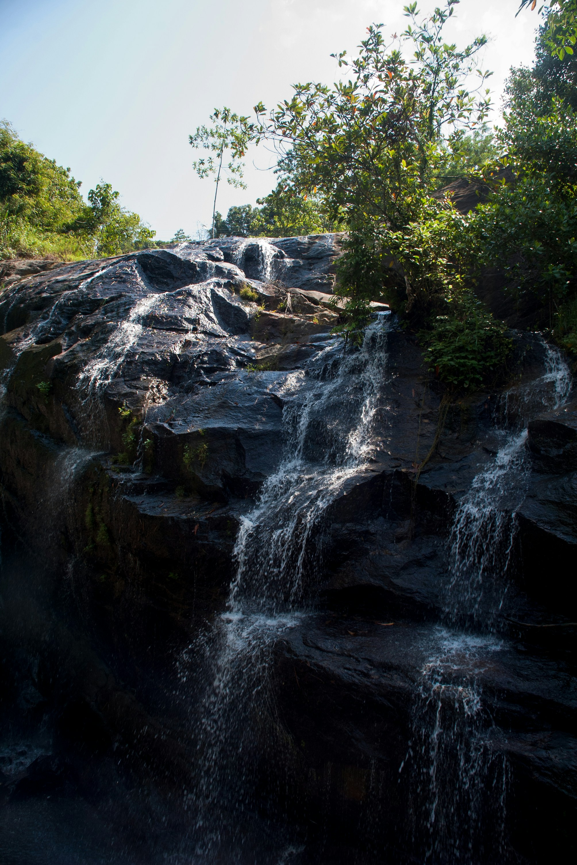 Photo by ronjafiverr