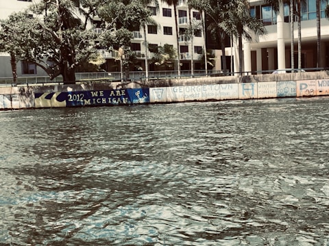 A body of water is in the foreground with a decorative wall along the shore. Several murals are painted on the wall, including messages like 'We Are Michigan' and 'Georgetown'. There are buildings and trees in the background, with palm trees adding a tropical feel to the scene.