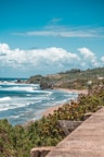a beach with a body of water and a hill with trees