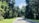 A serene road curves gently through a lush forest, flanked by dense trees draped in Spanish moss. The sky is clear with patches of blue visible through the canopy.