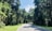 A serene road curves gently through a lush forest, flanked by dense trees draped in Spanish moss. The sky is clear with patches of blue visible through the canopy.