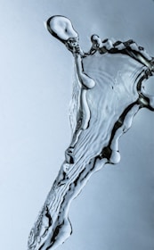 a close-up of a skeleton