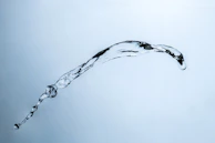 A refreshing splash of water captured mid-air against a soft blue background symbolizing purity.