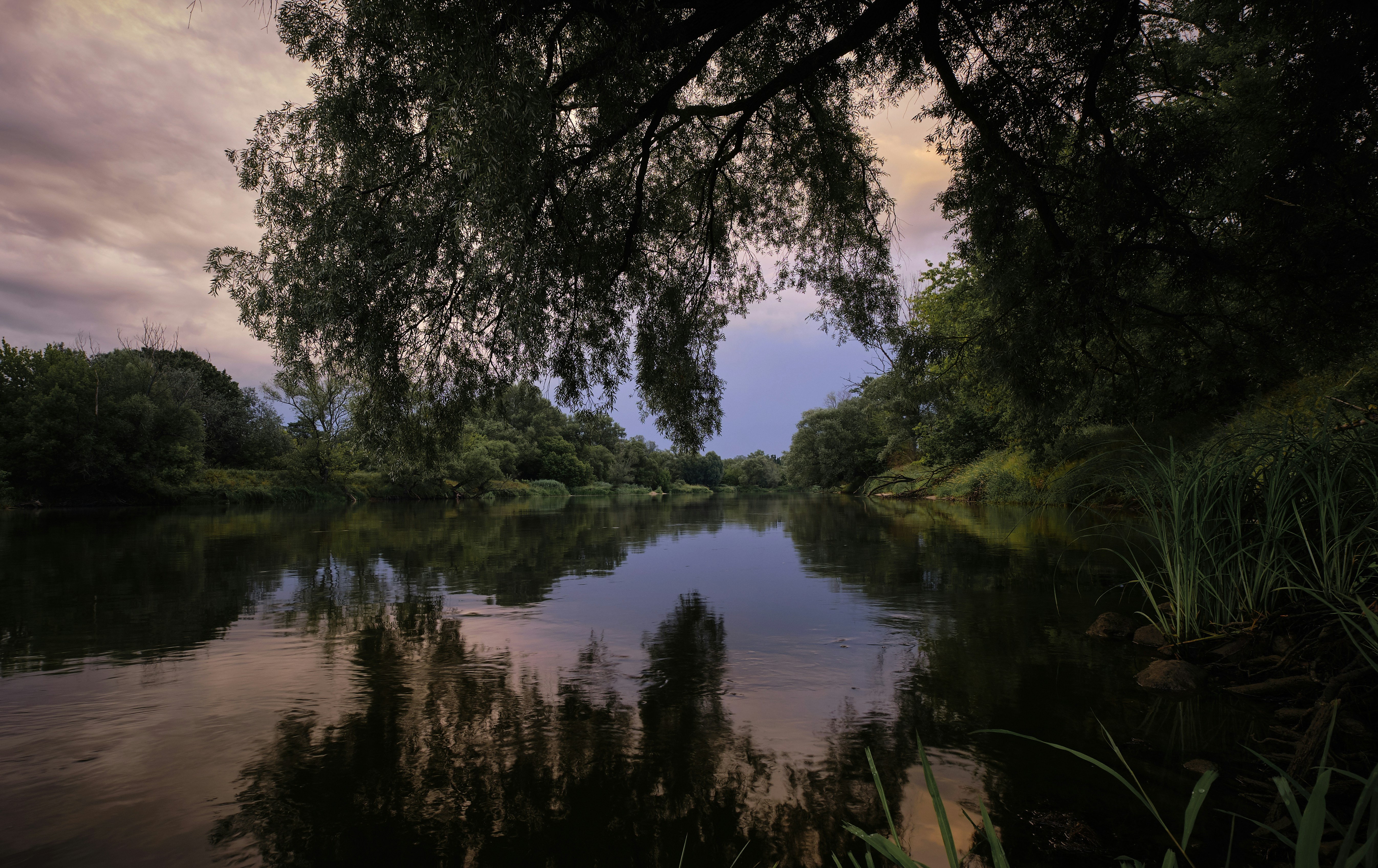 Photo by victor_vector