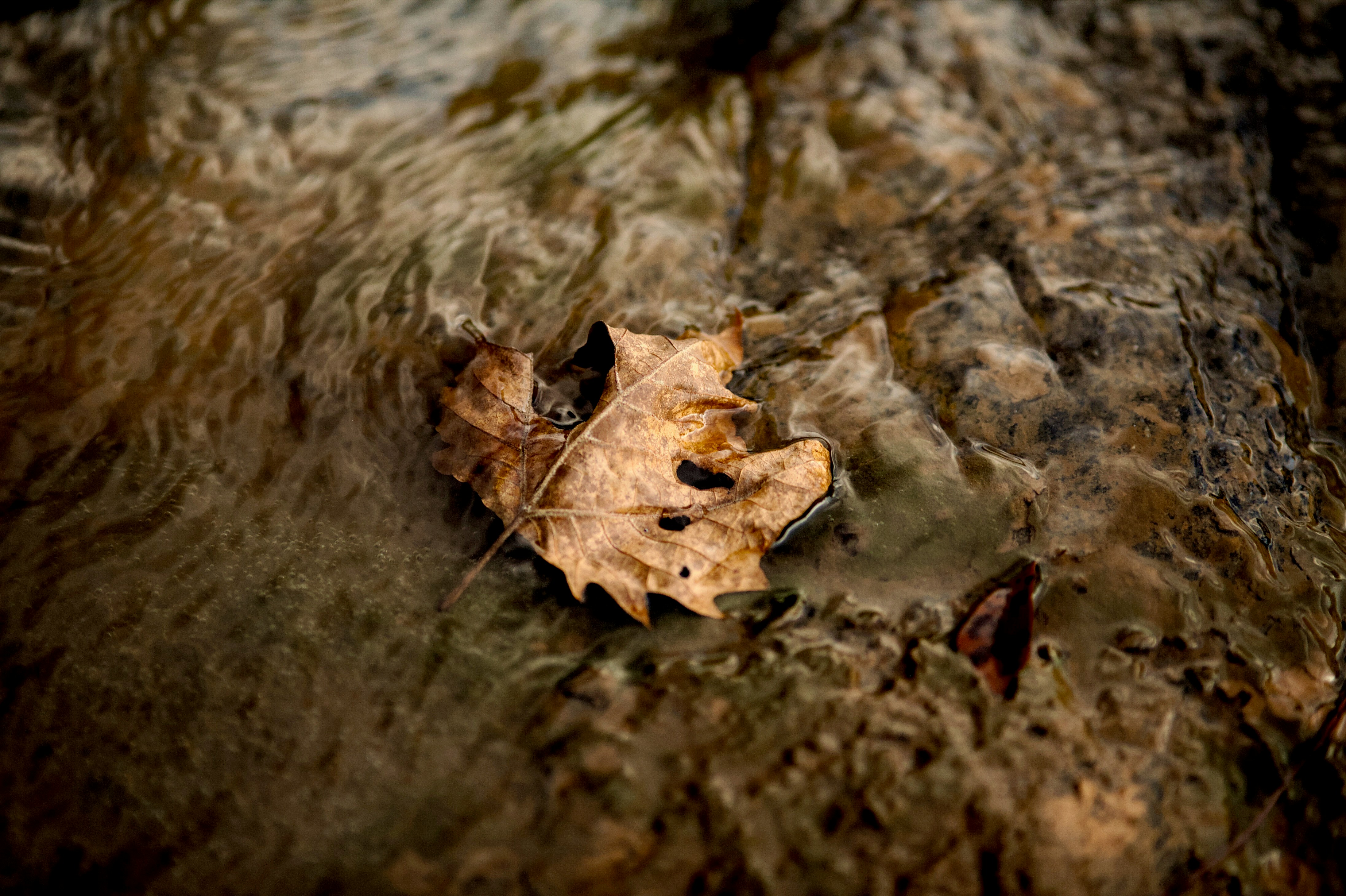 Photo by btcarpenter