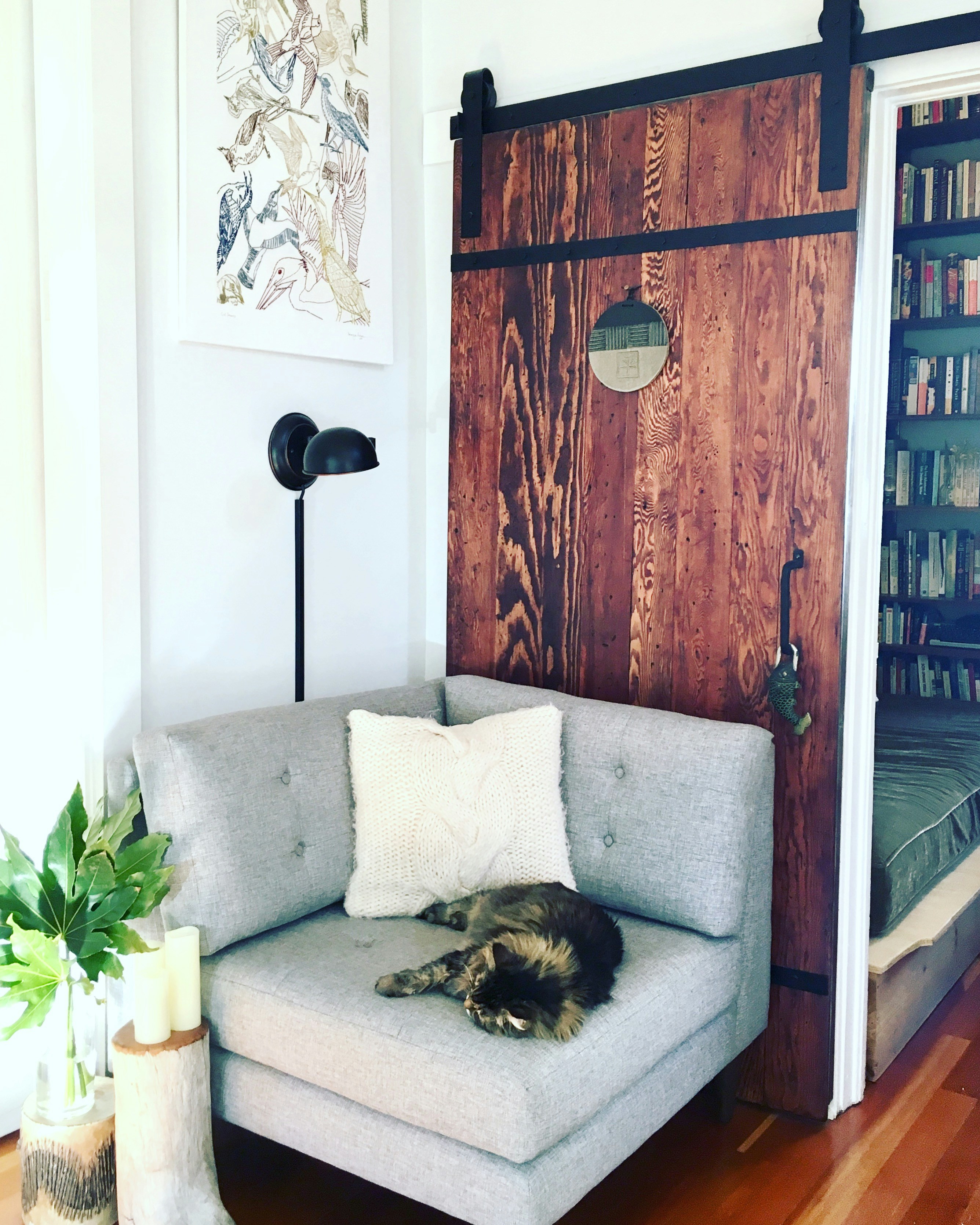 a cat lying on a couch