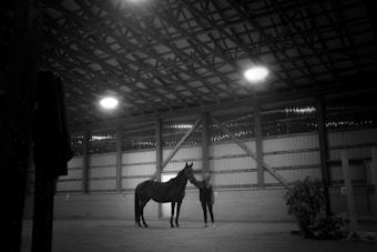 A dimly lit indoor stable with a high ceiling and overhead lights illuminating a horse being held by a person. The walls and ceiling are constructed with exposed beams and panels. There is a plant to the side, and various stable equipment is visible.