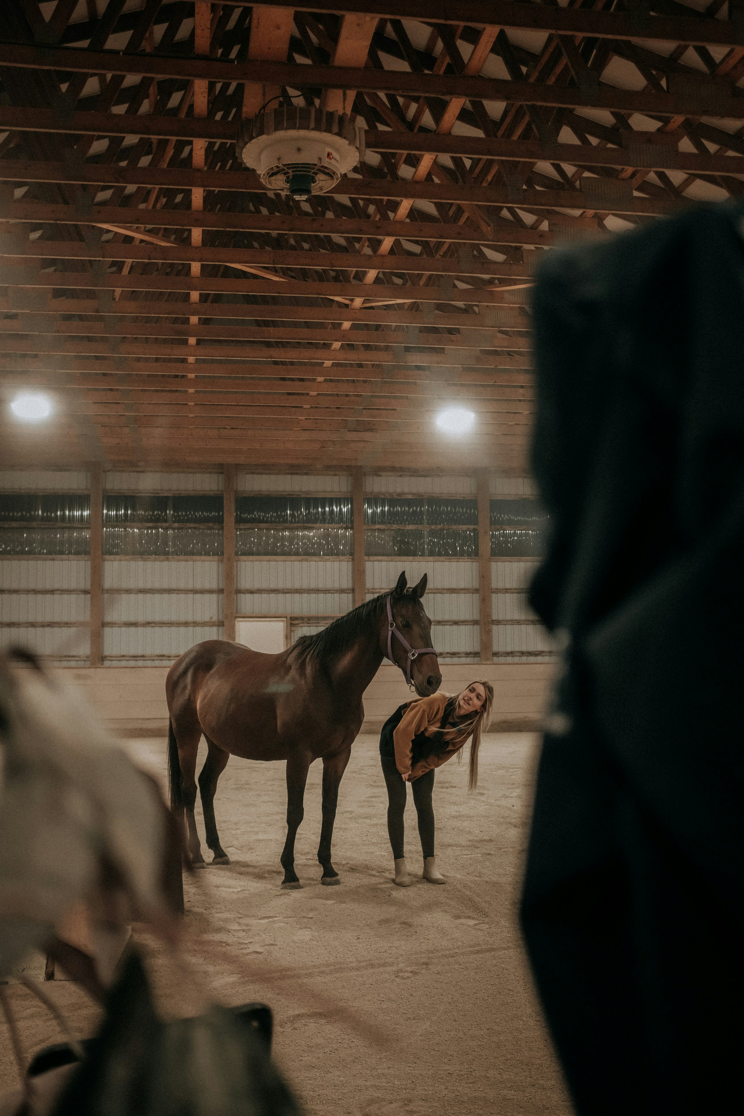 Um grupo de cavalos em um celeiro foto – Imagem grátis sobre Verde na  Unsplash, image size:3000x4501