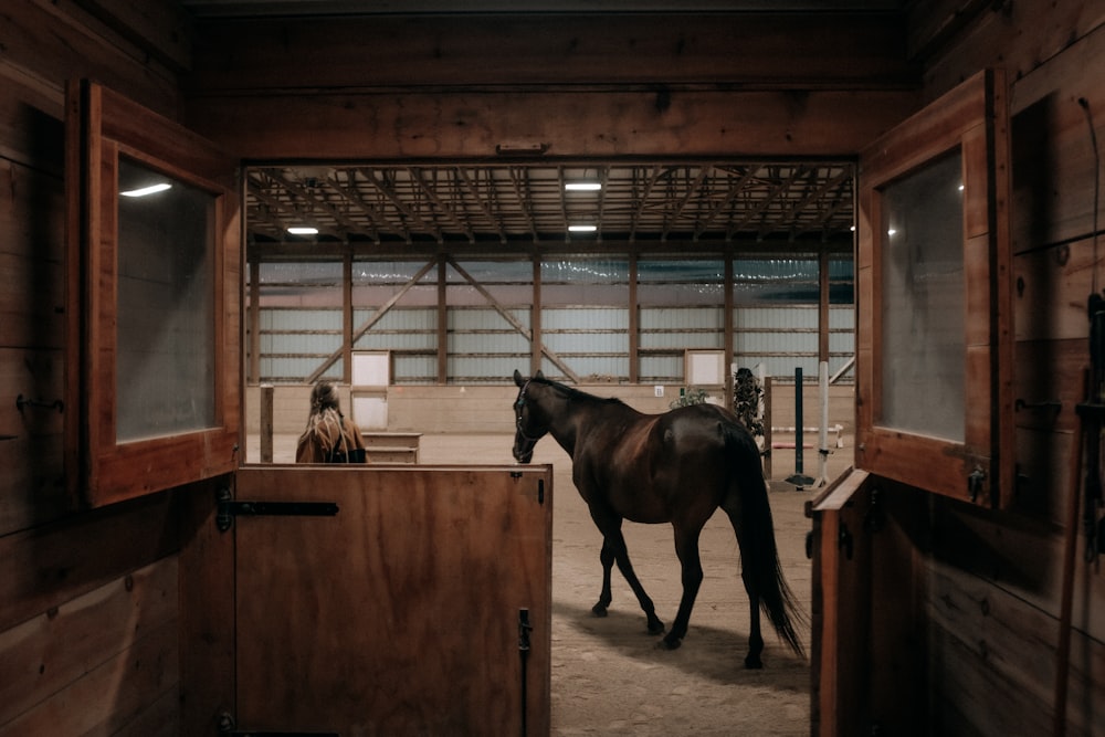 a horse in a barn