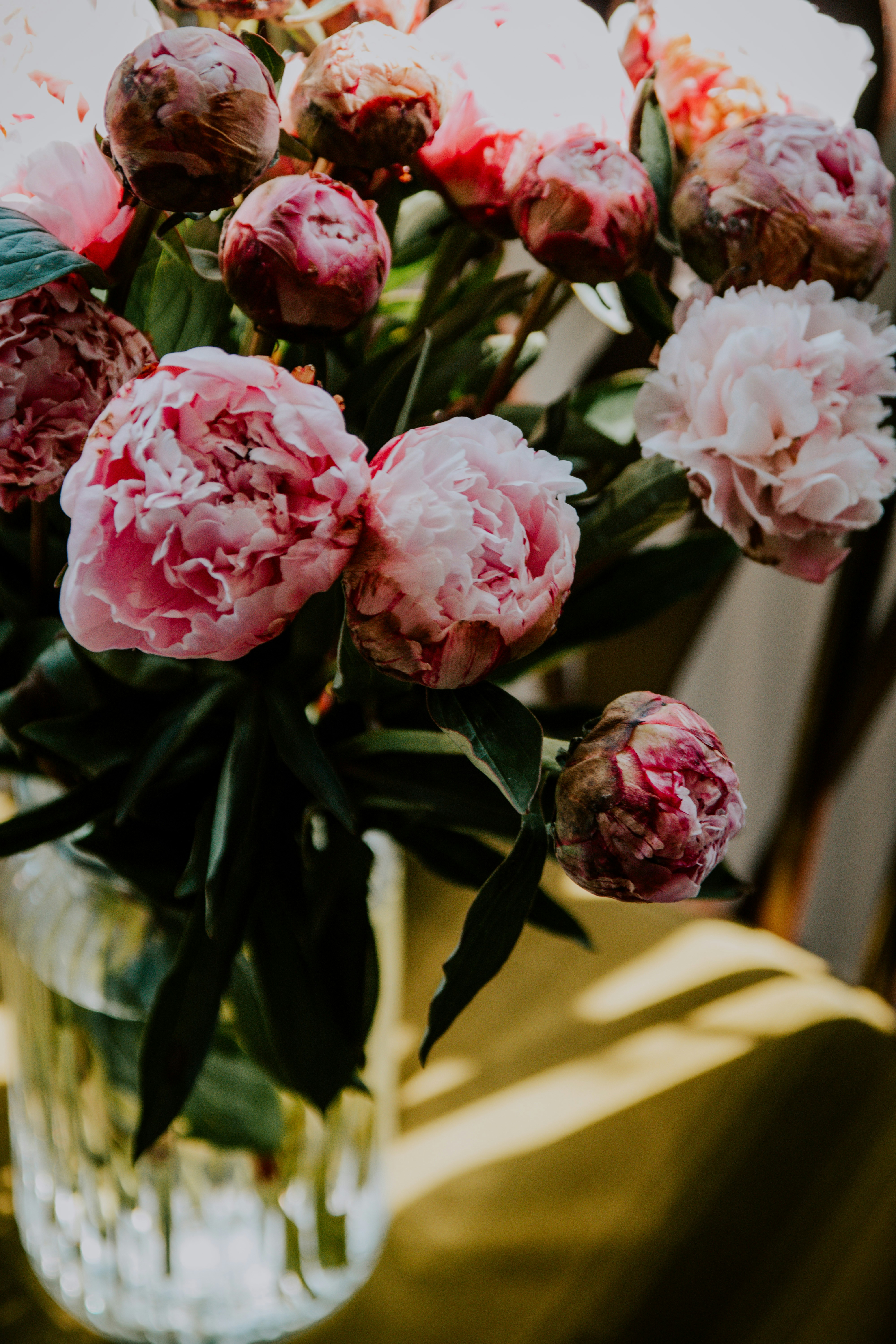 Photo by lanathegraves