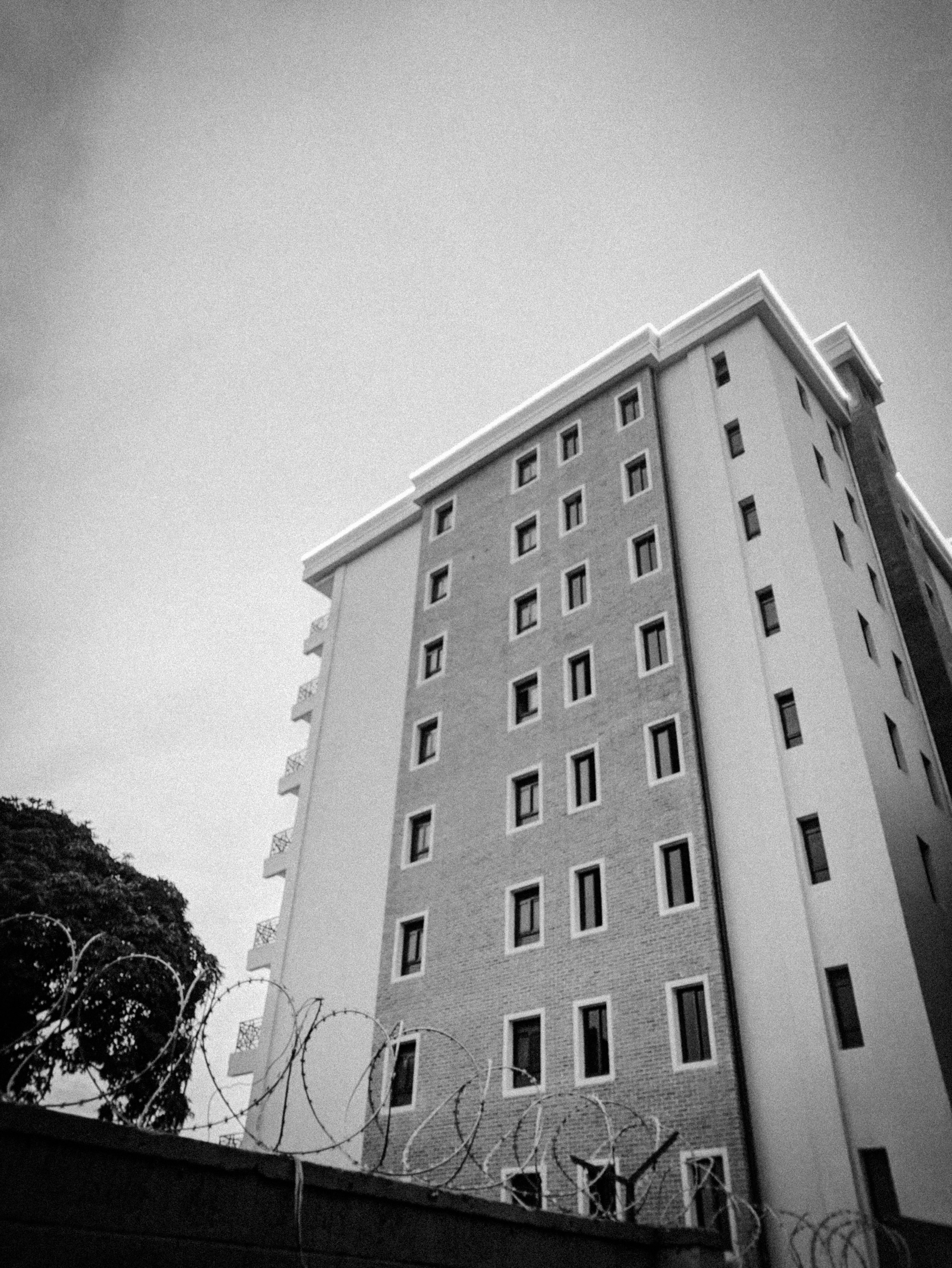 Photo by princebeguin