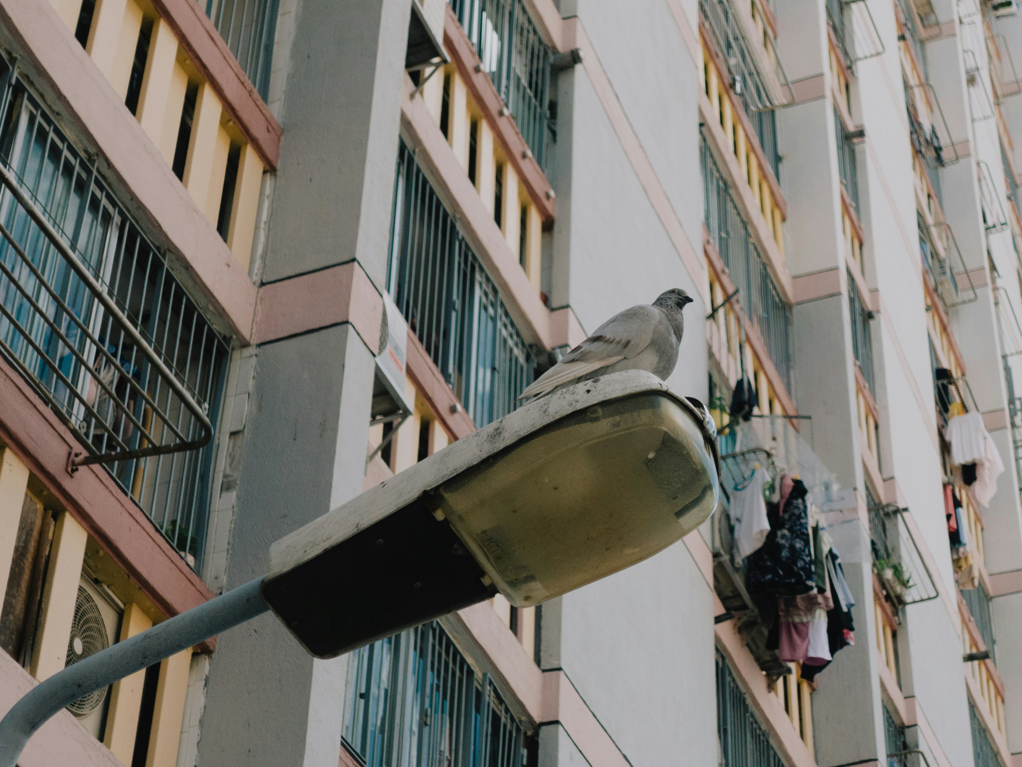申請公屋時買了人壽保險點算好？會計算在資產審查嗎？