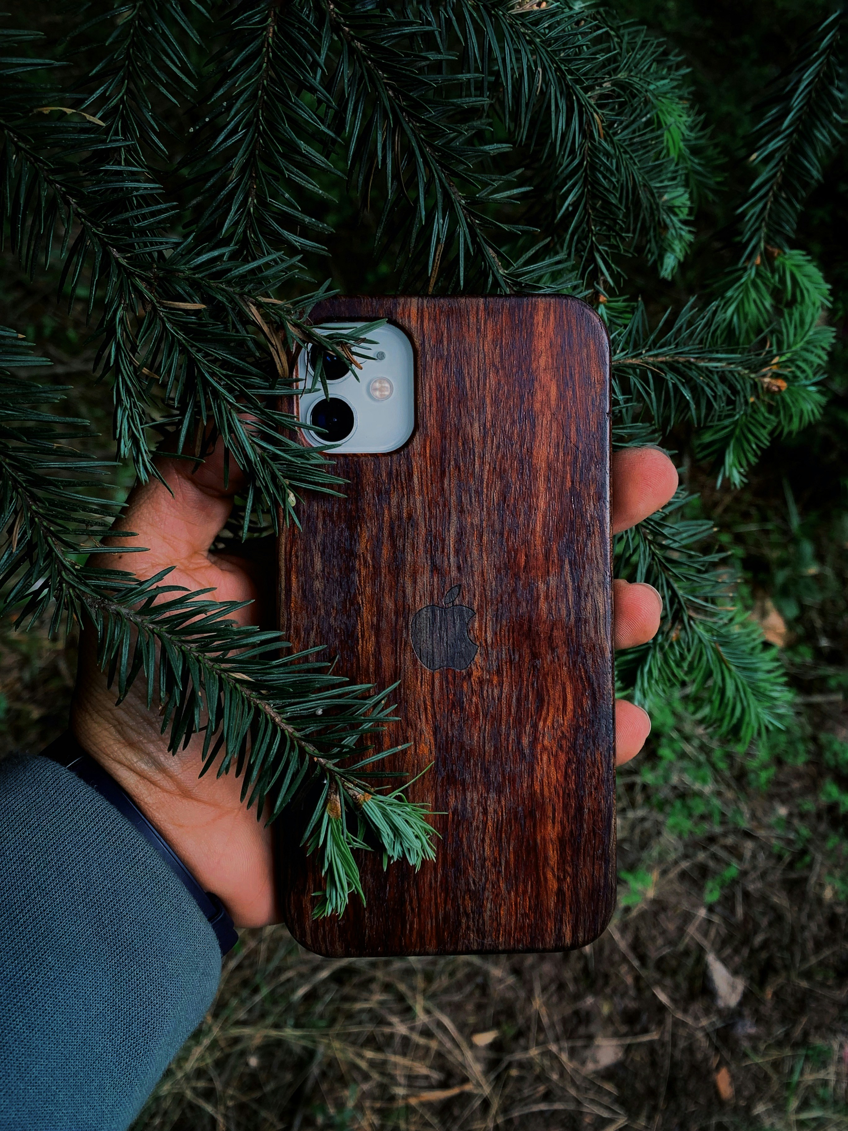 una mano che tiene una piccola scatola di legno con una macchina fotografica su di essa