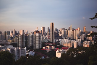 a city with many buildings