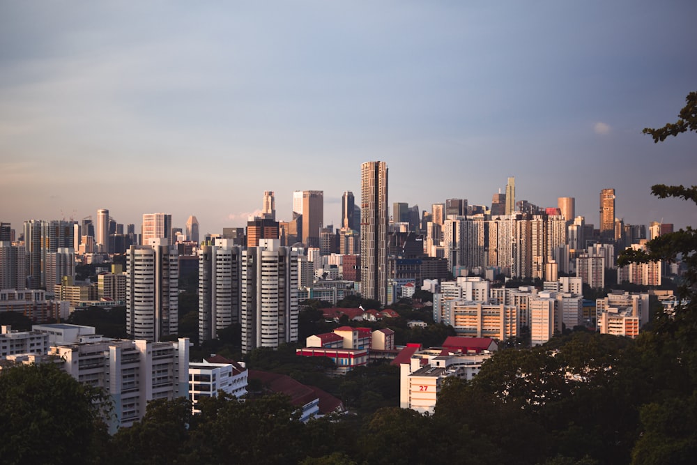 a city with many buildings