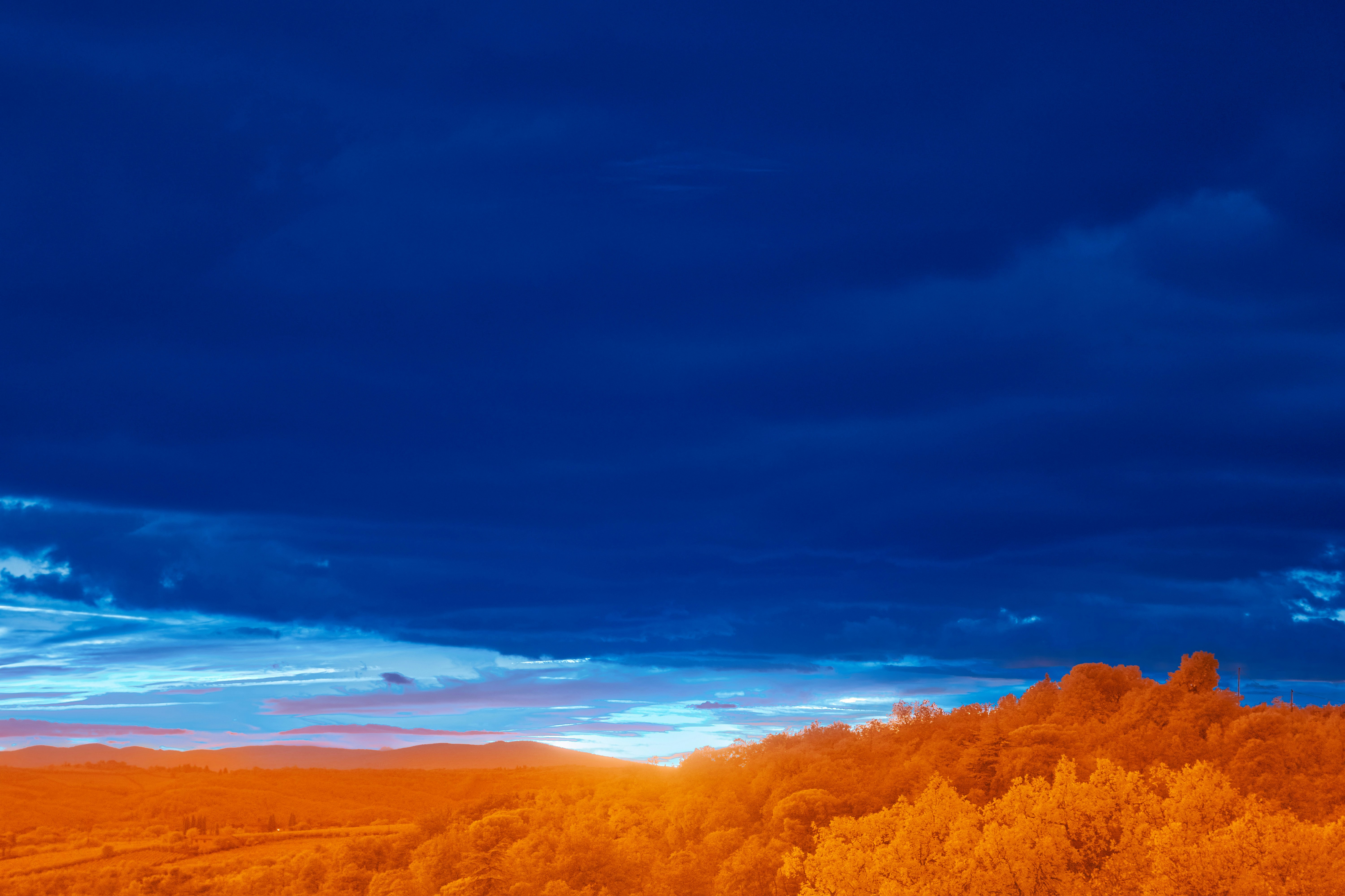 Photo by wolfgang_hasselmann