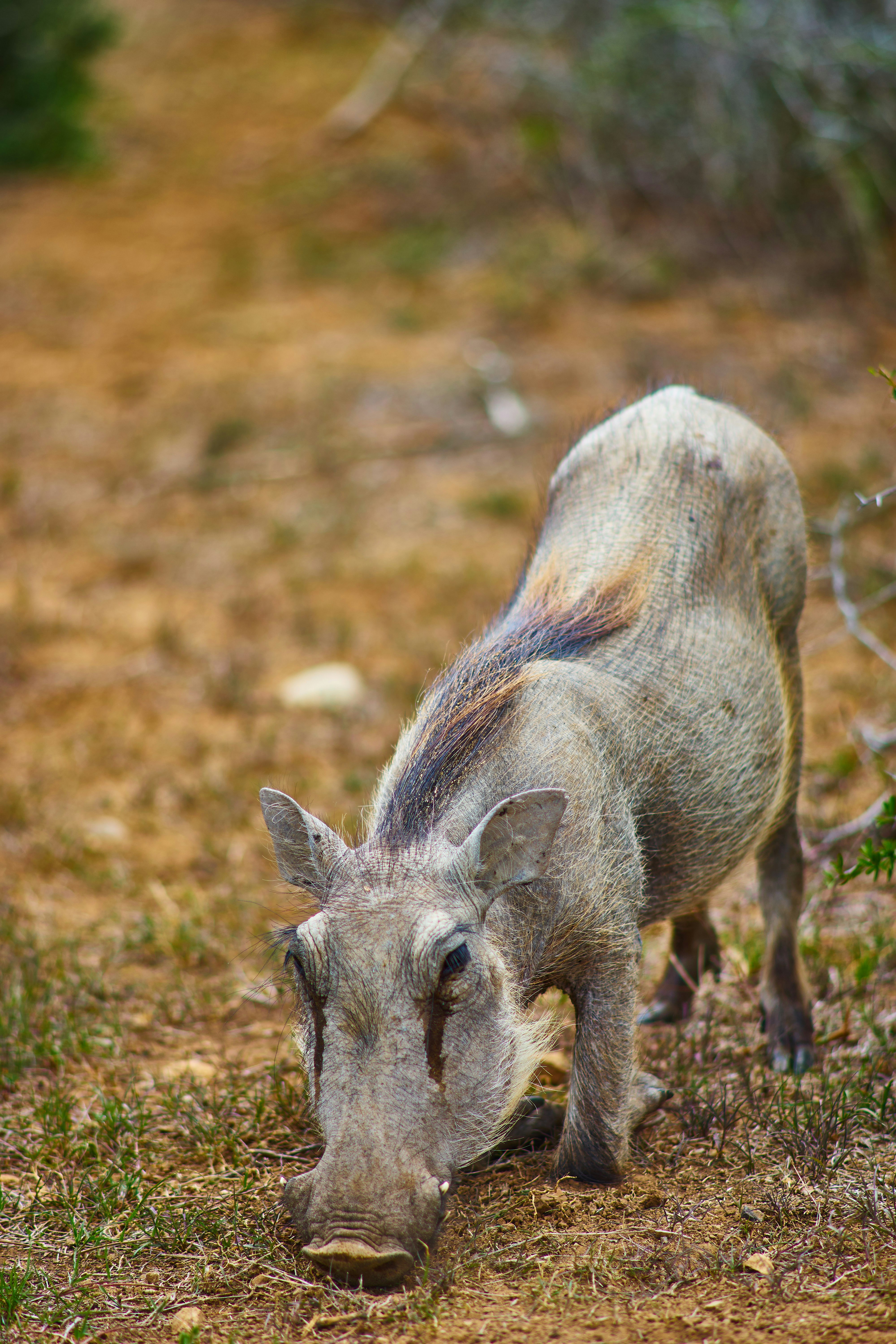 Photo by wolfgang_hasselmann