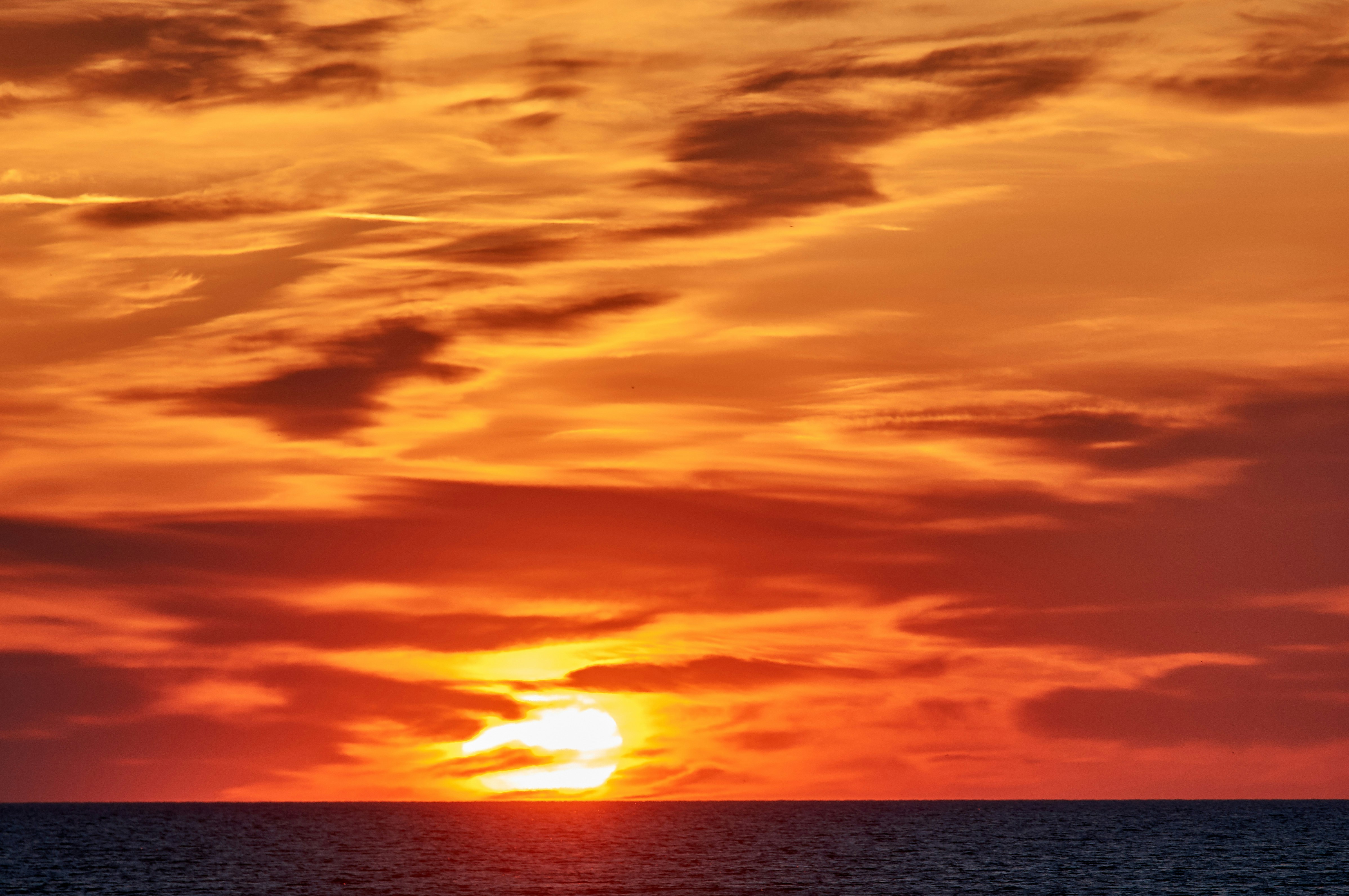 Photo by wolfgang_hasselmann