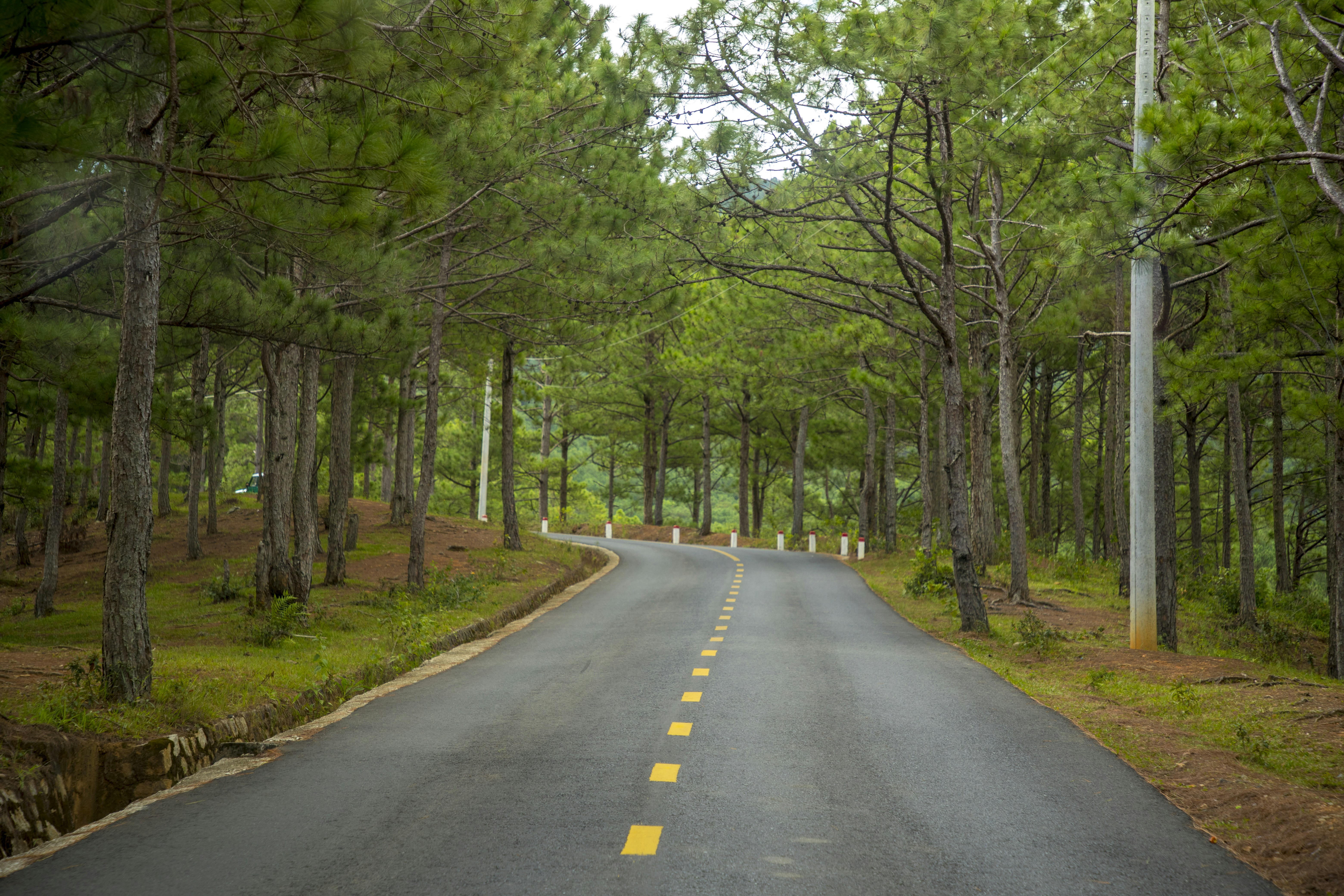 Photo by bahr_splash