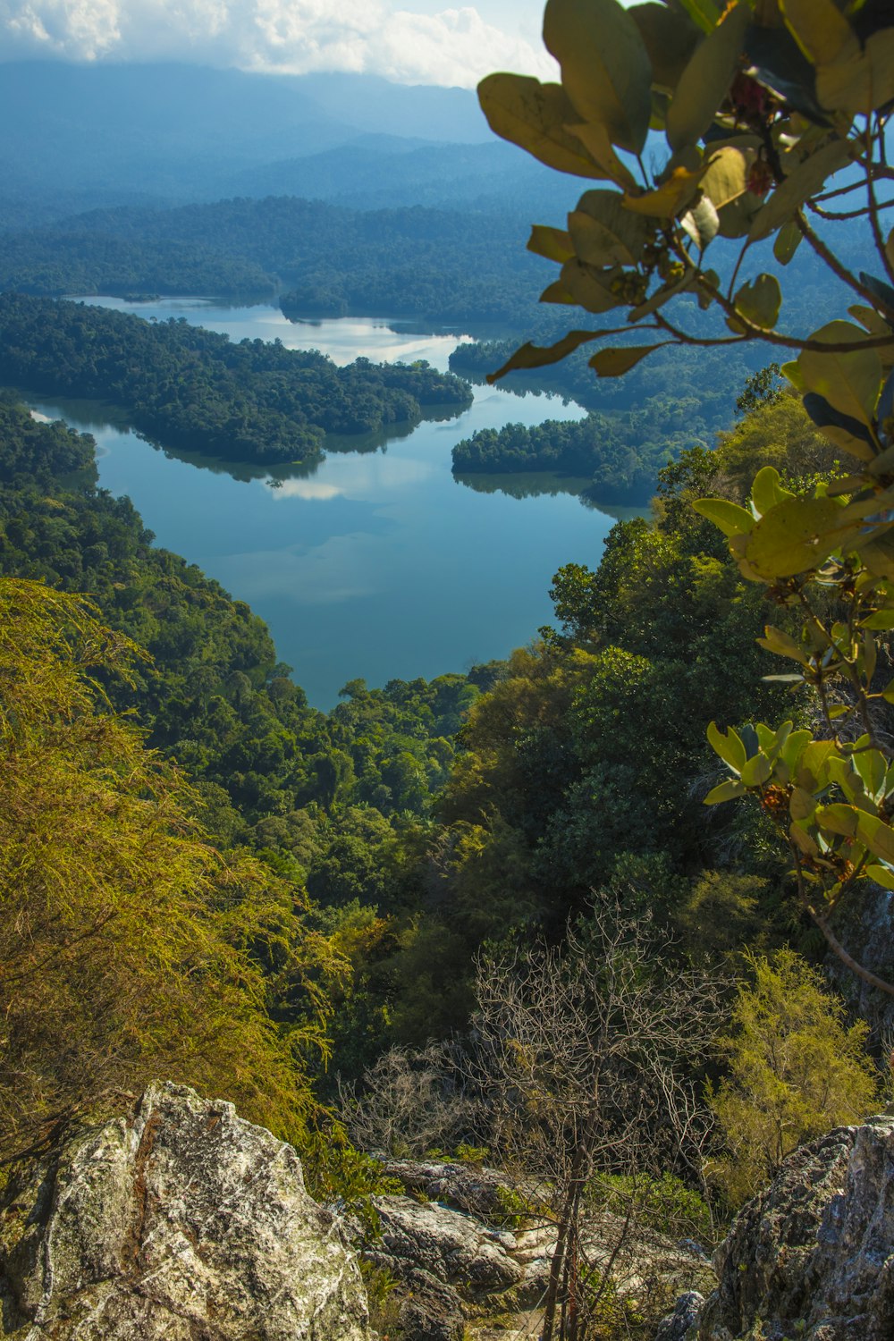 a view of a lake and trees