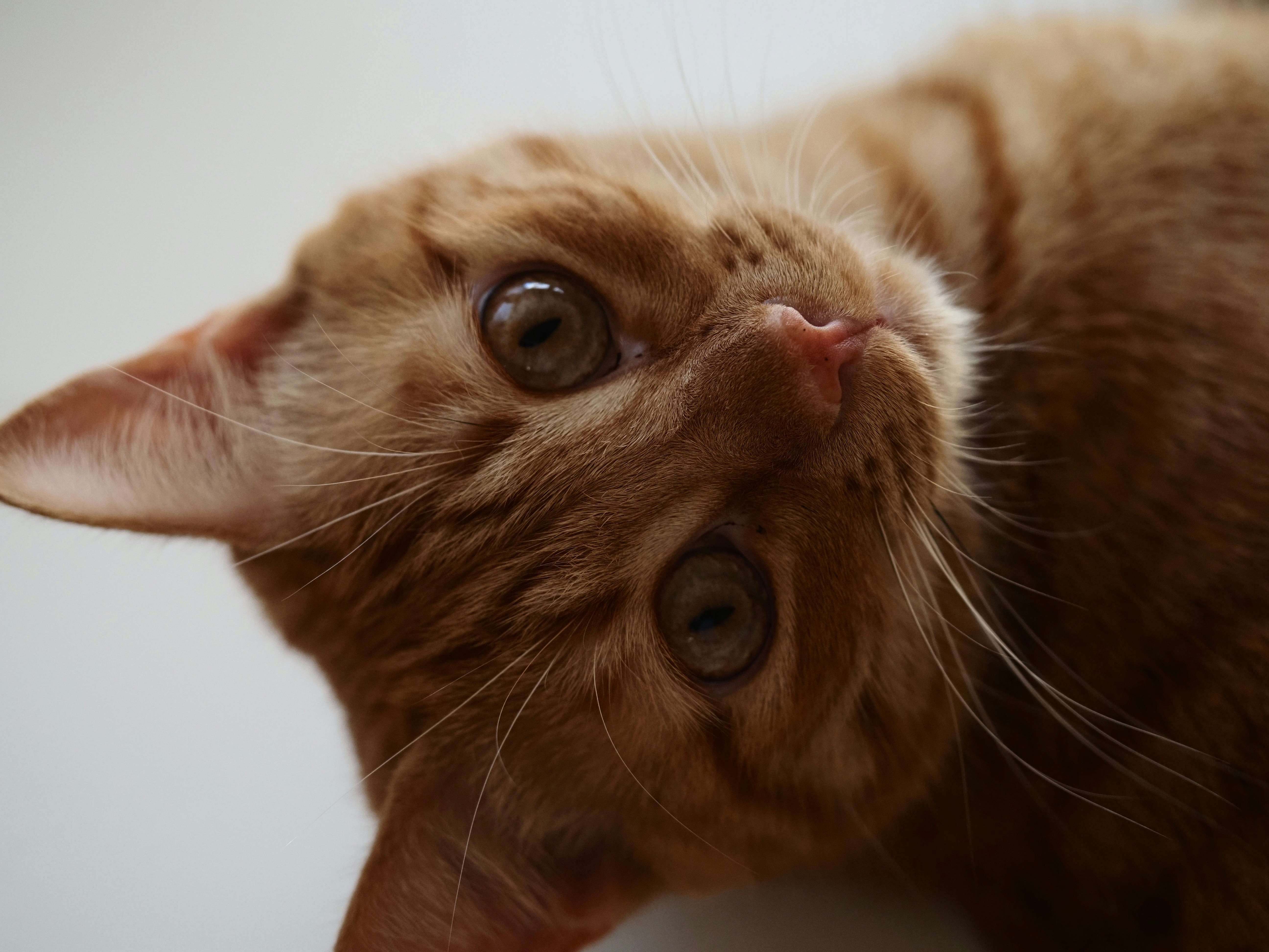 Photo by aastikmaurya