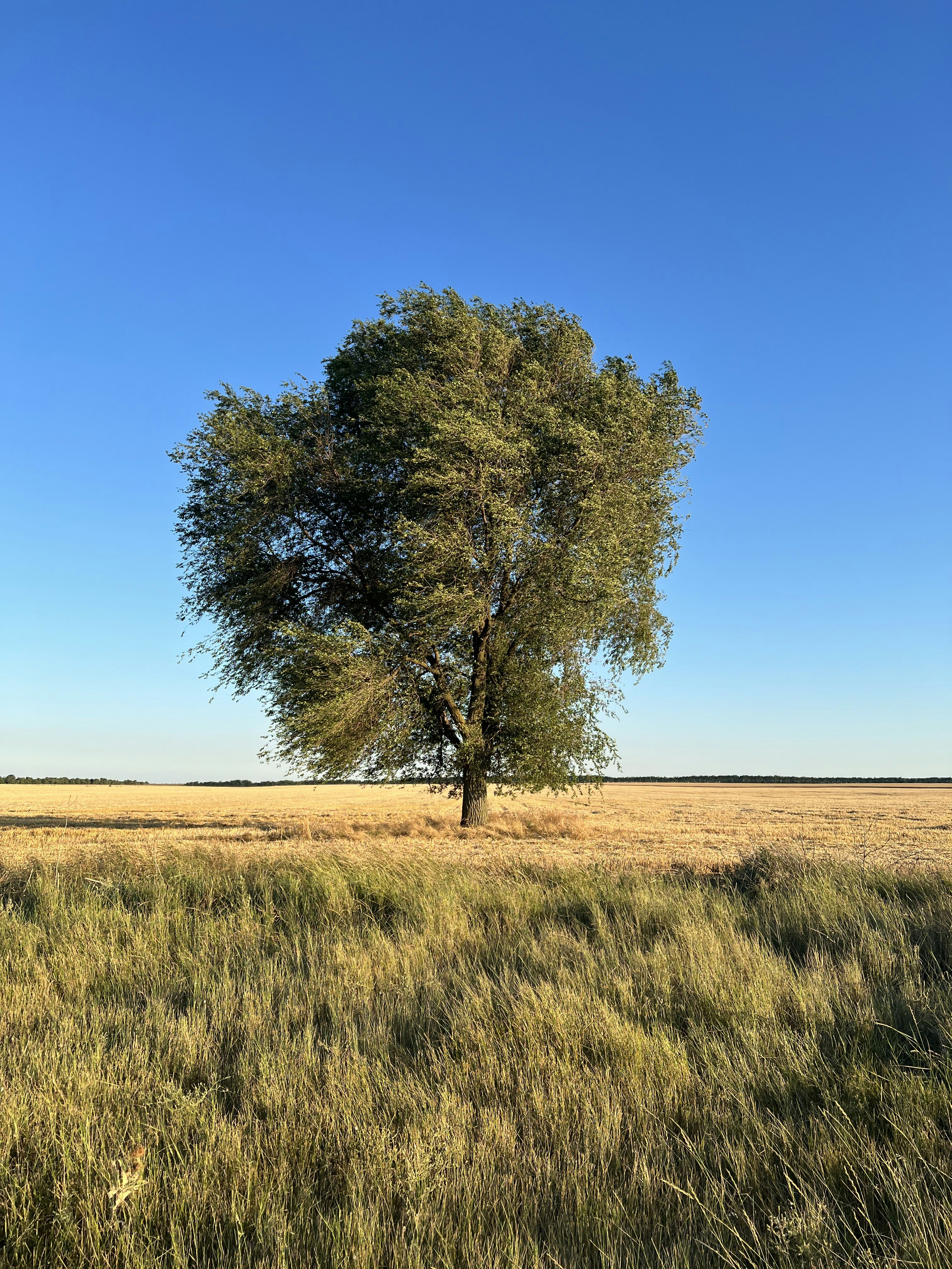 Photo by kristinaaboutme