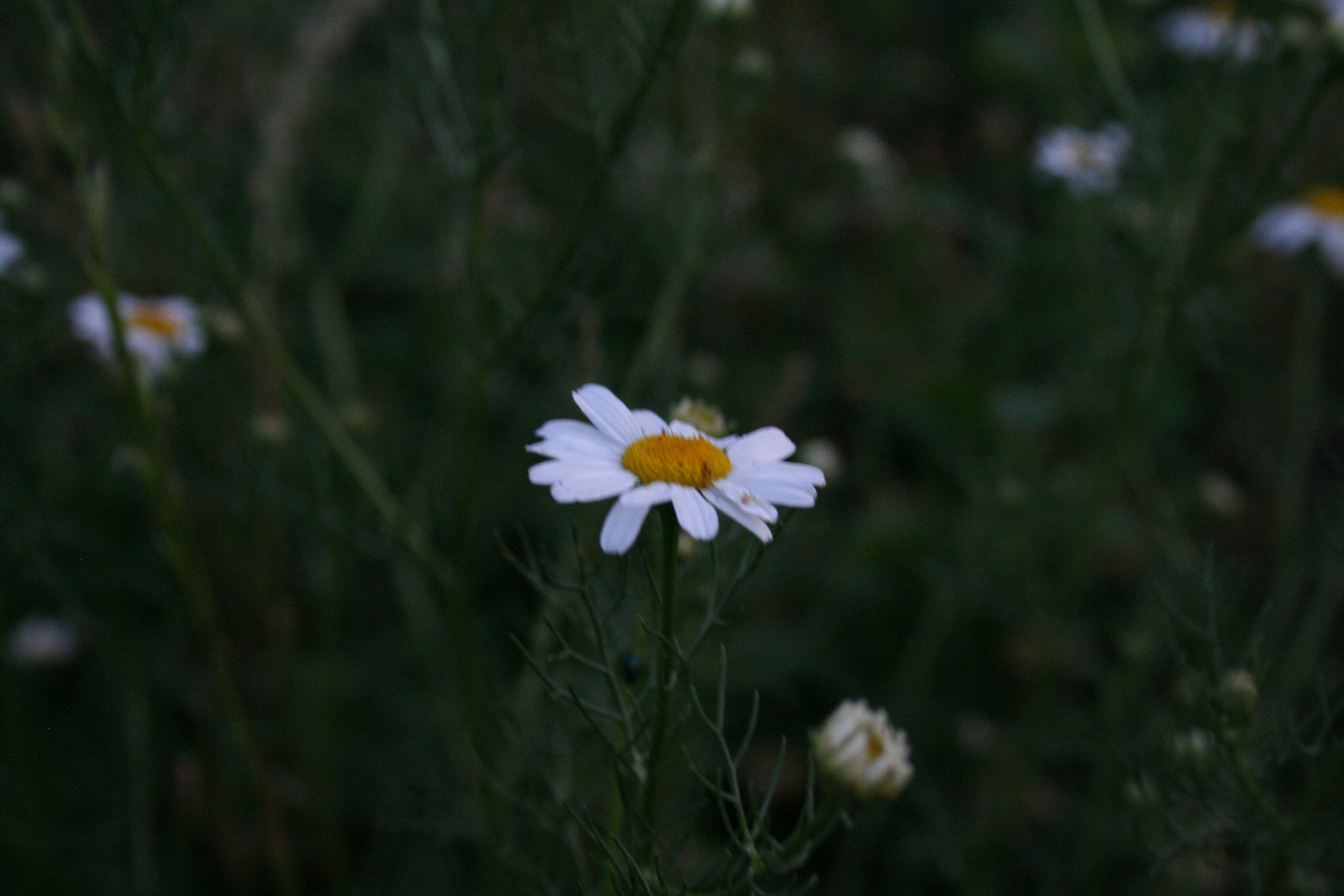 Photo by darrrrr_yaaaa