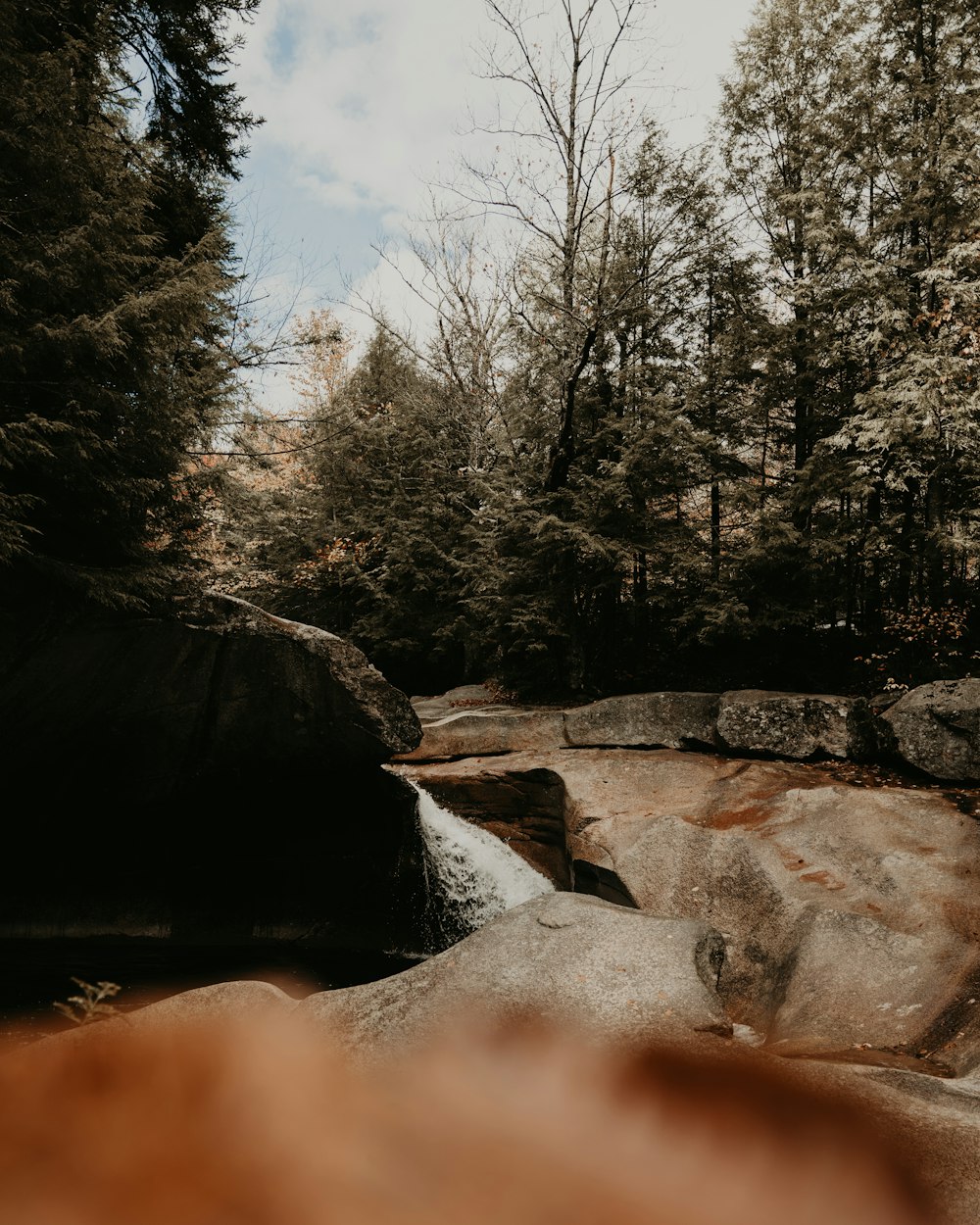 a river with rocks and trees