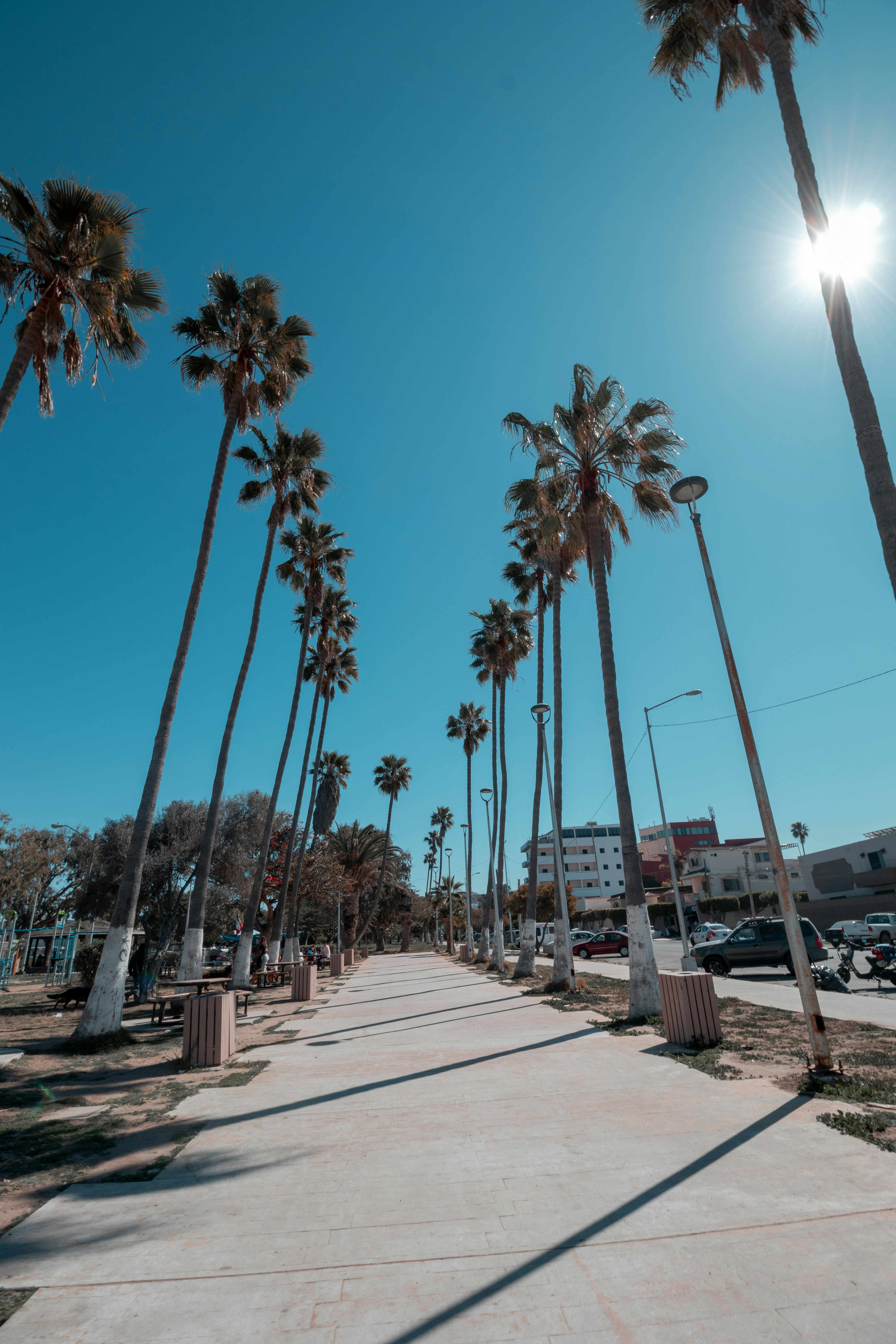 Photo by livingcolortj