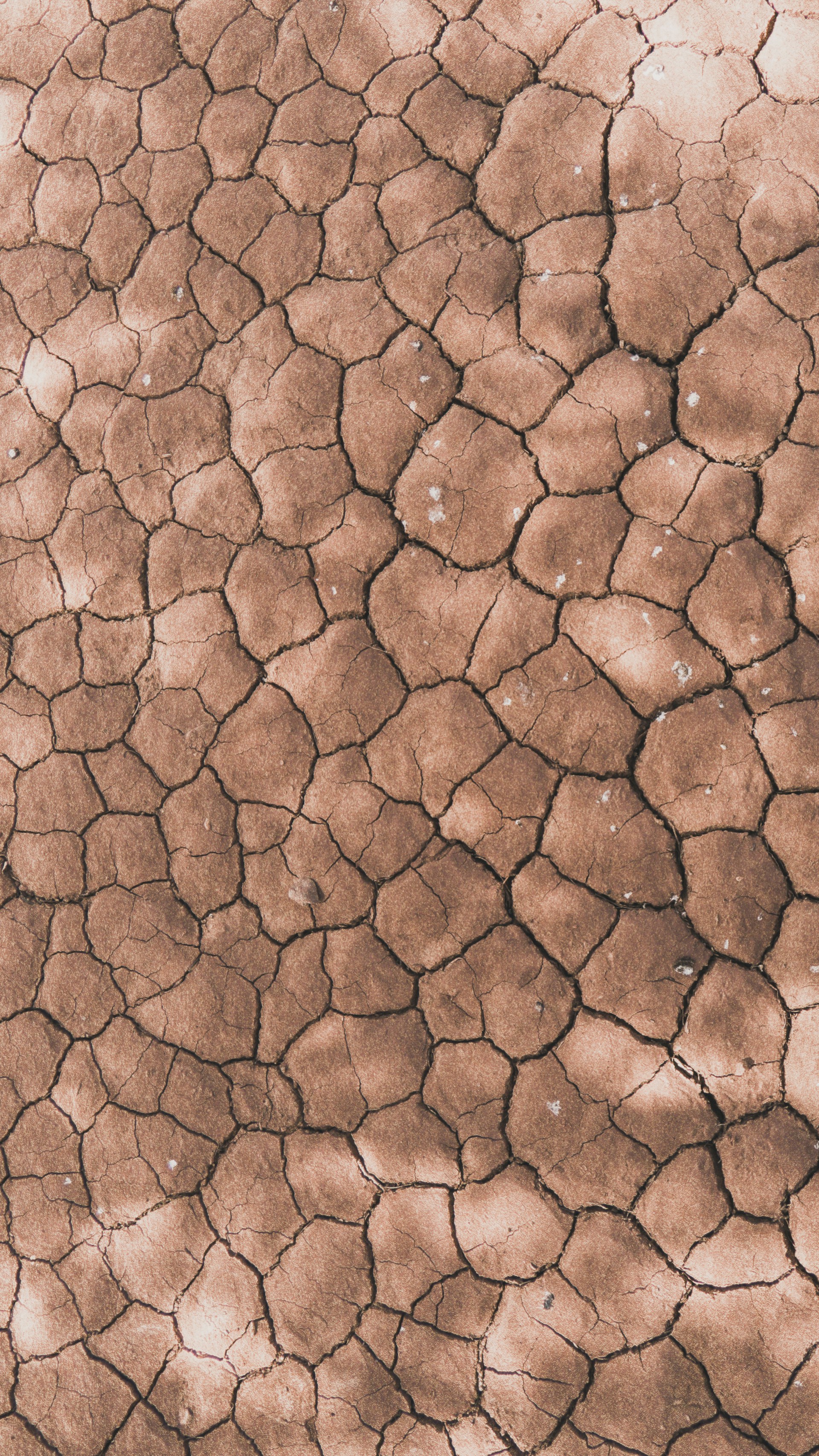 a cobblestone road with a cobblestone cobblestone cobblestone