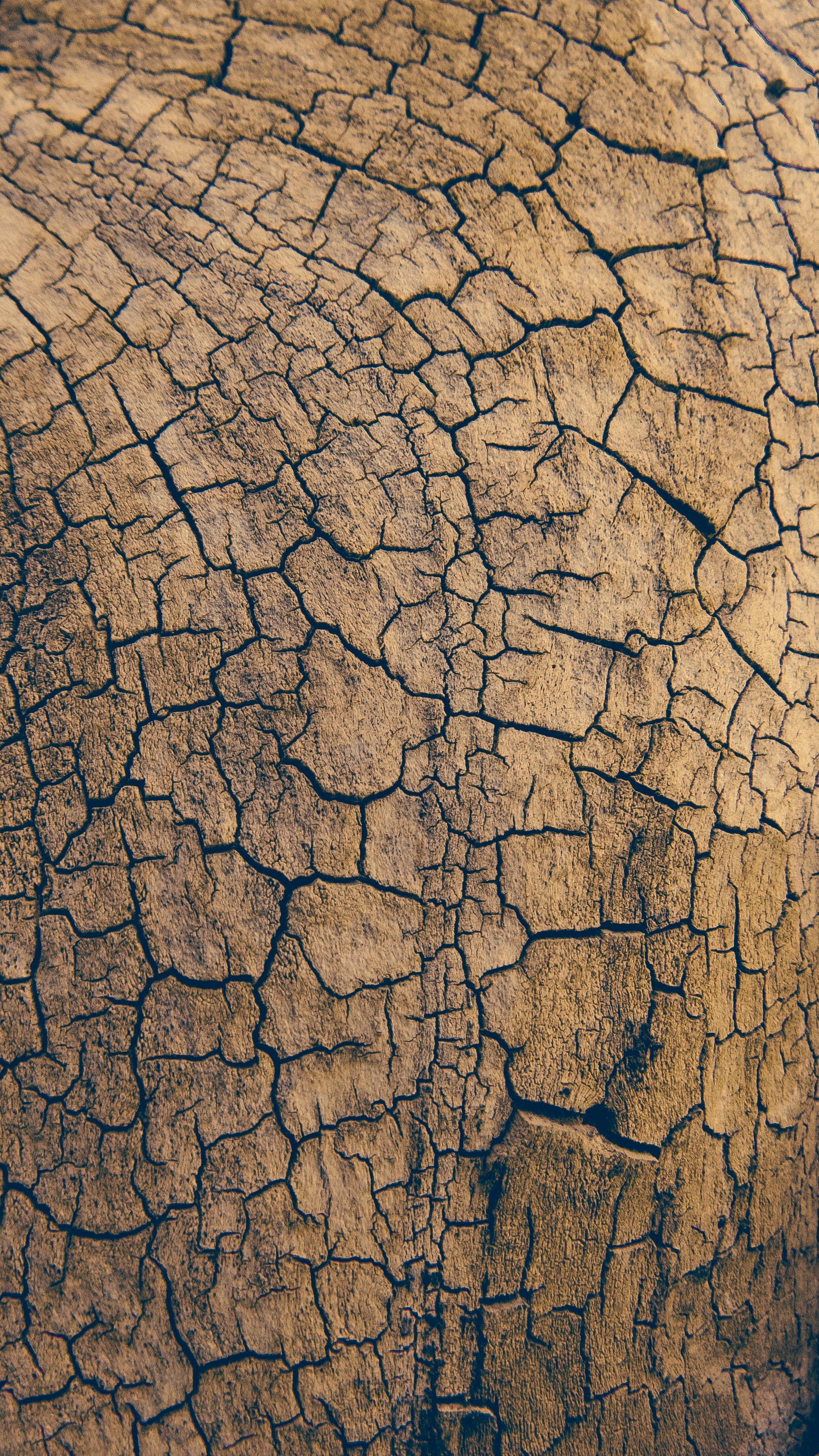 Photo by mostafaftpix