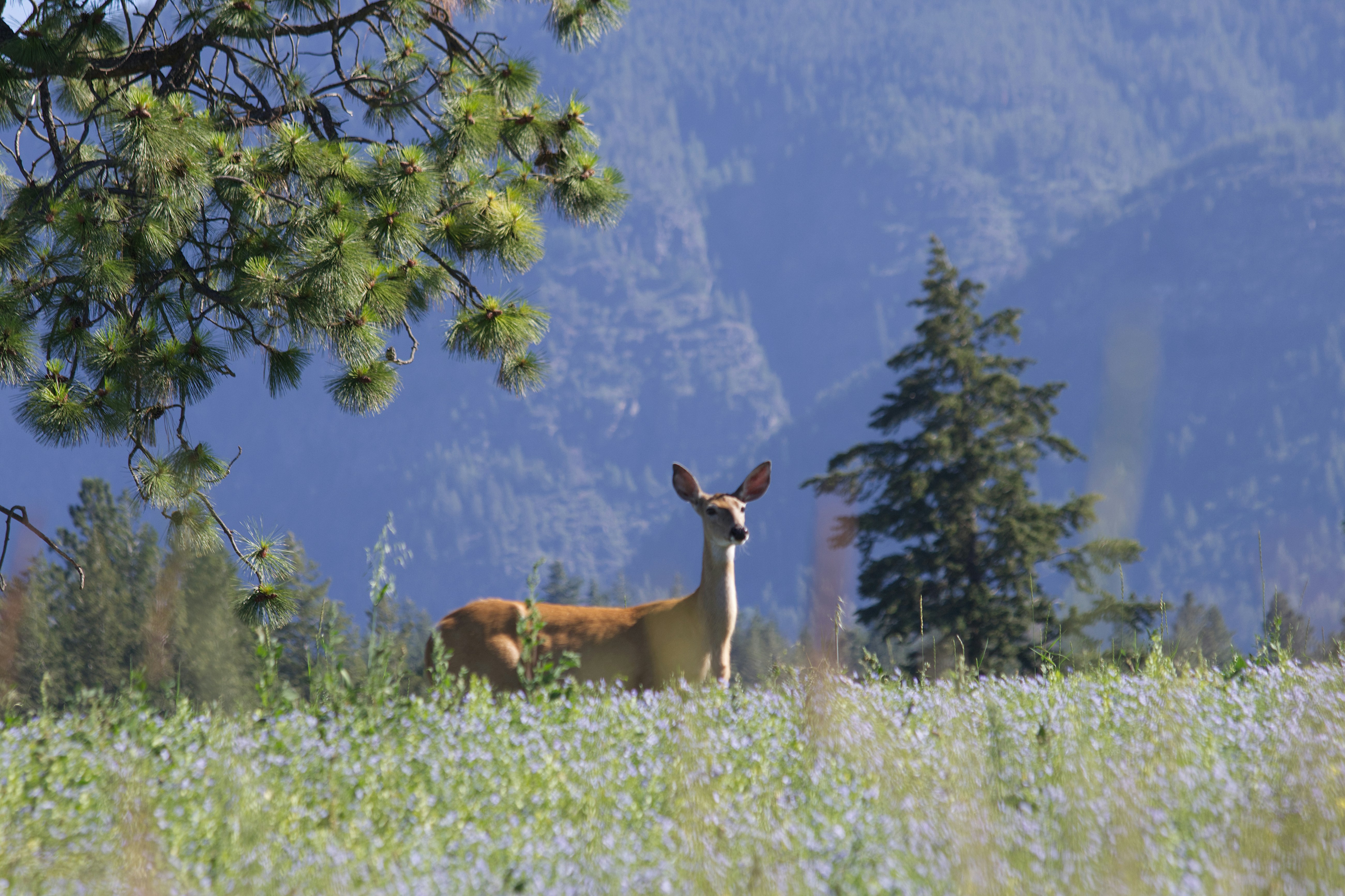 Photo by frozenmoments