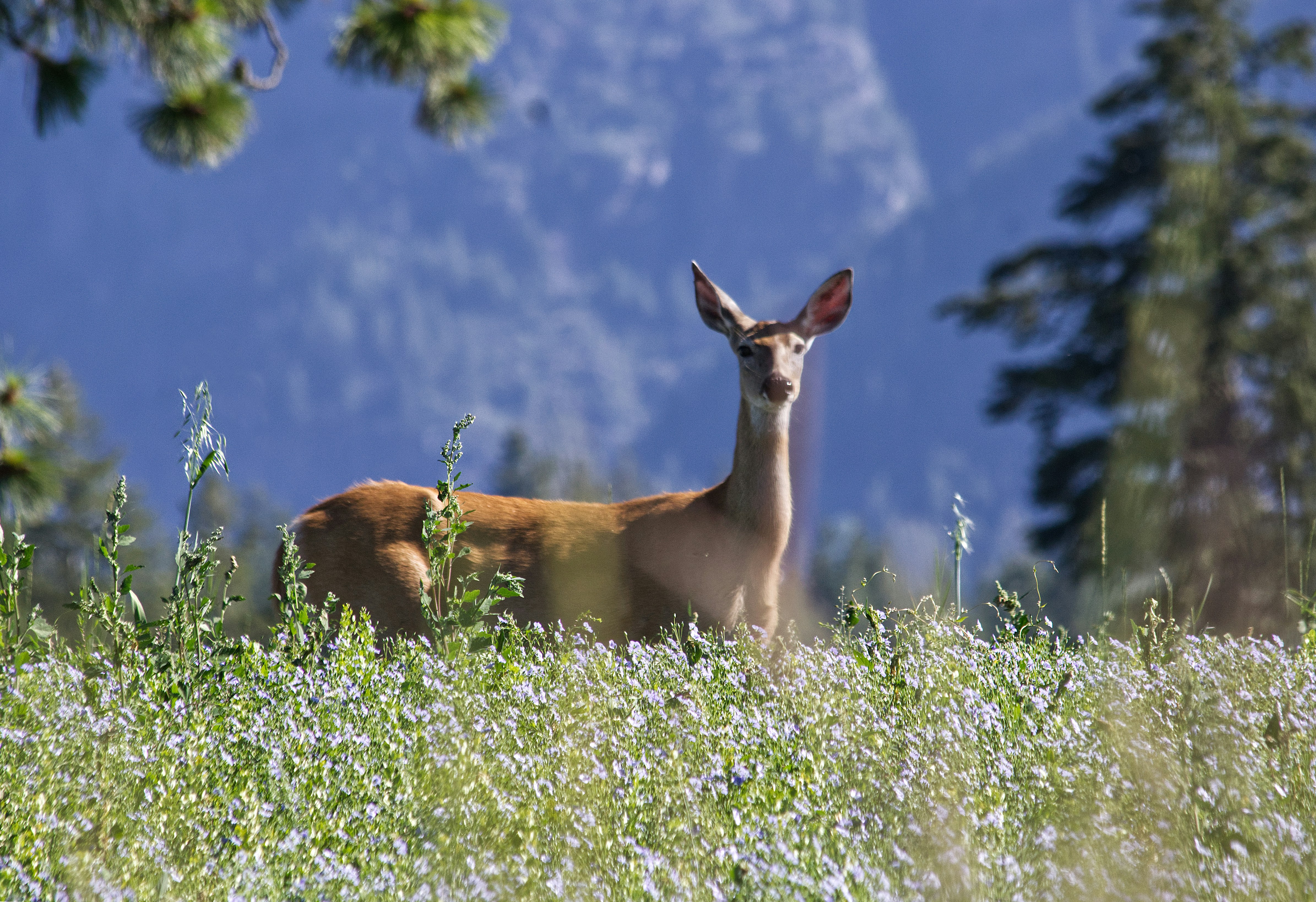 Photo by frozenmoments