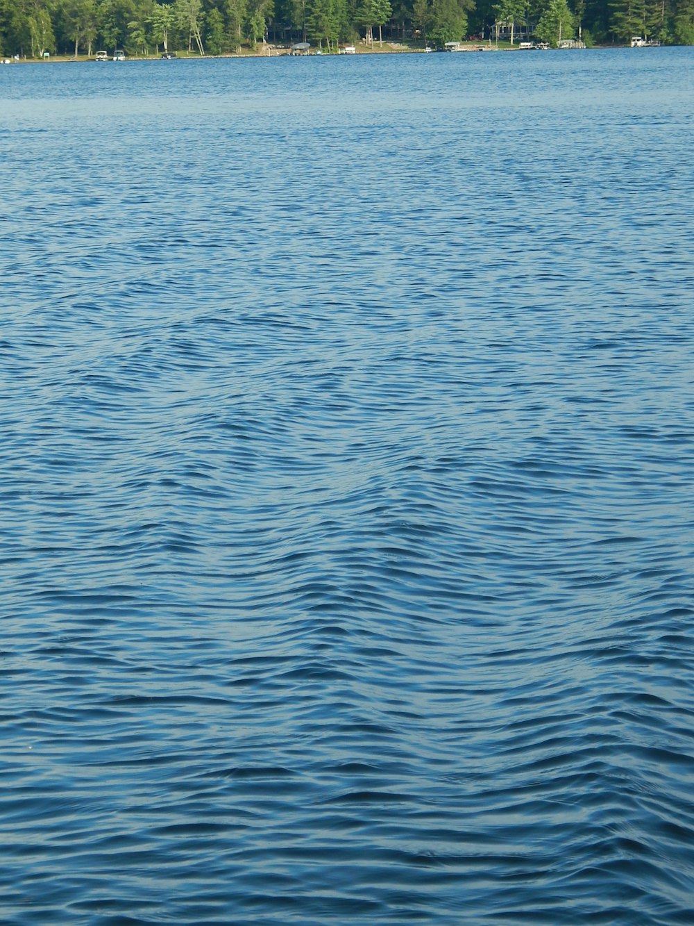 a body of water with trees in the background