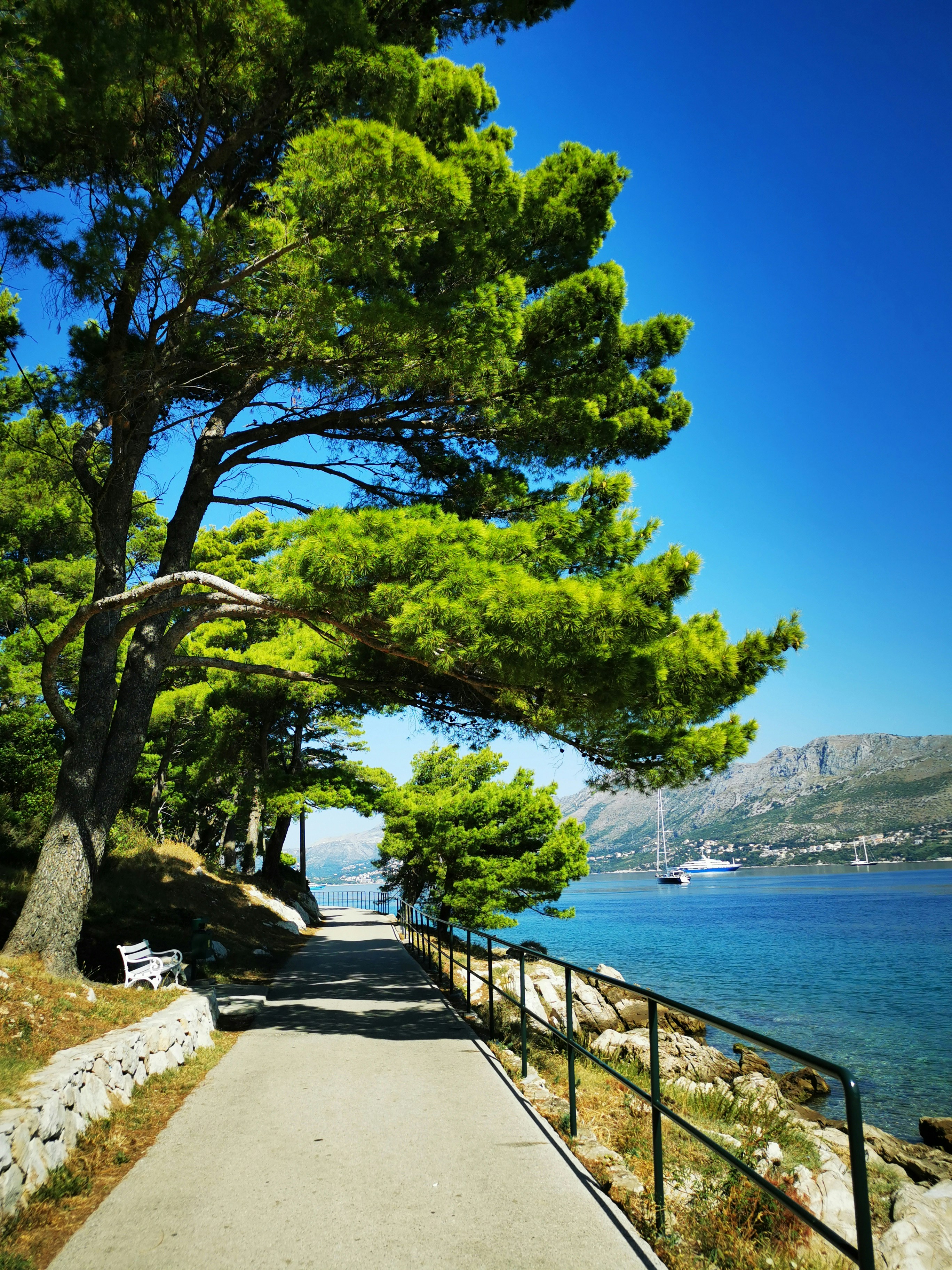 un chemin à côté d’un plan d’eau avec des arbres et des bateaux