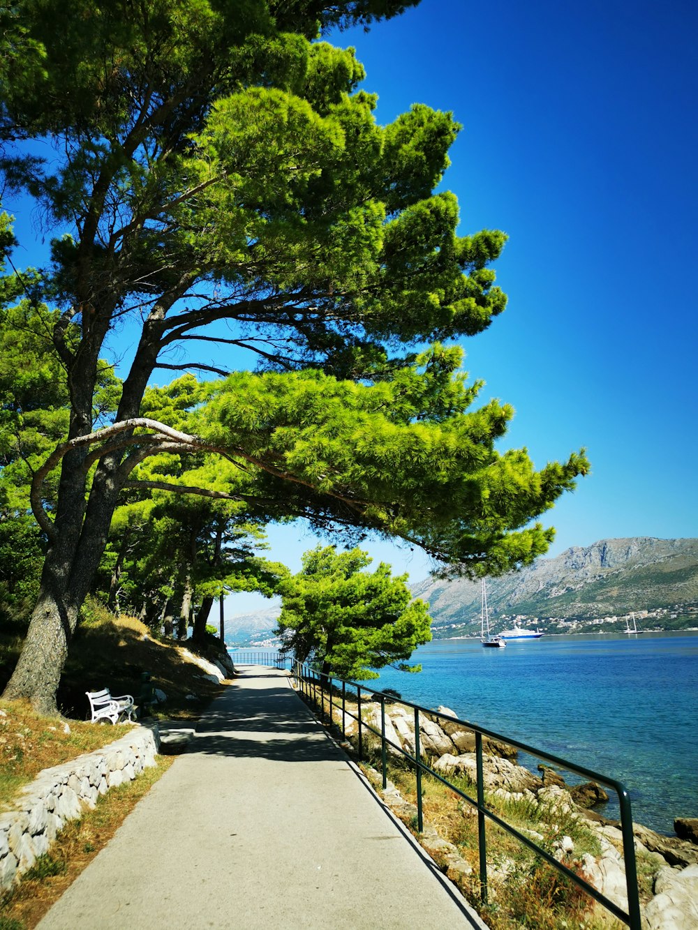 a path next to a body of water with trees and boats in it