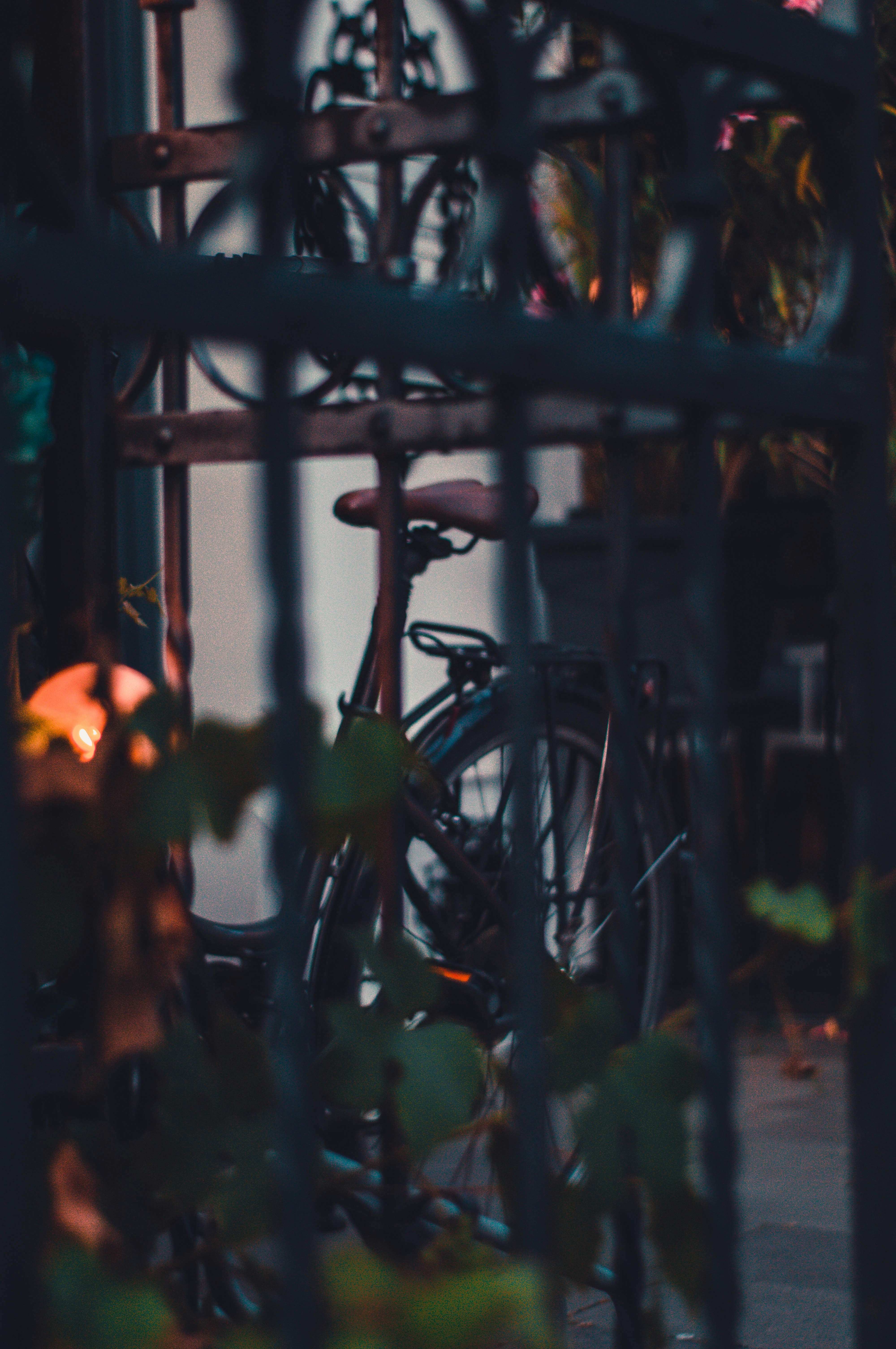 Photo by alex_emanuel20