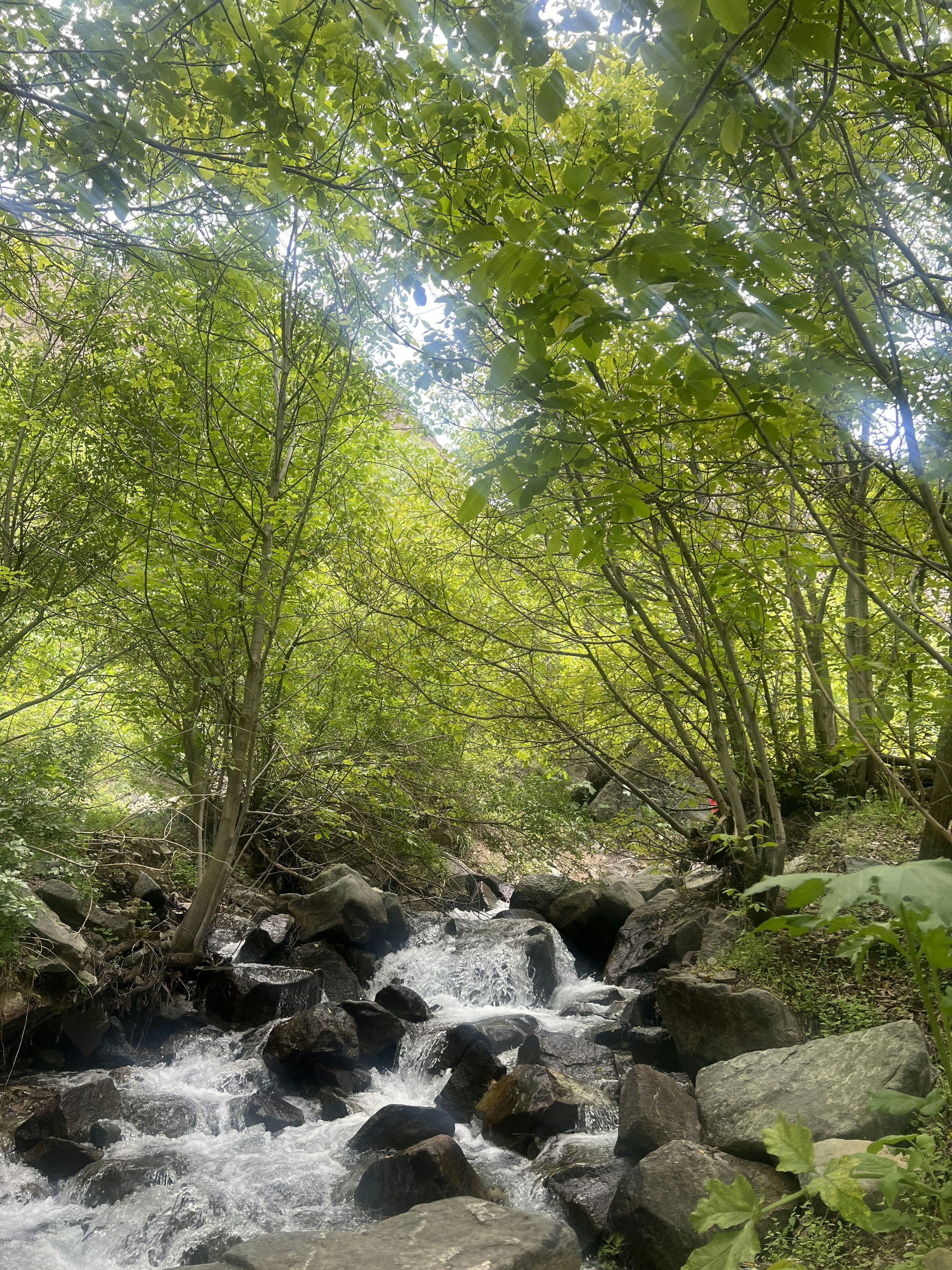 Photo by faezeh_eslami