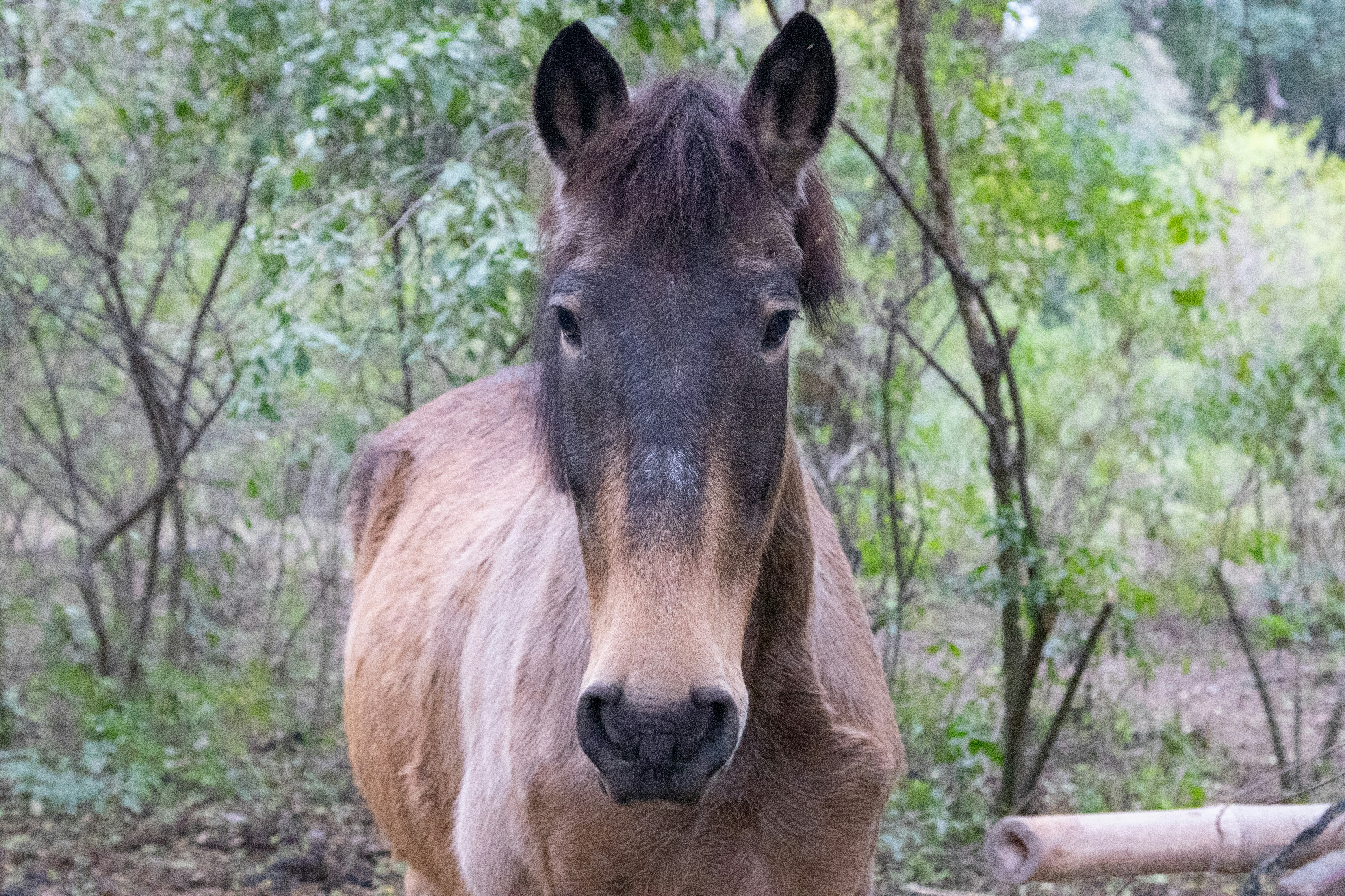 Photo by sonianadales