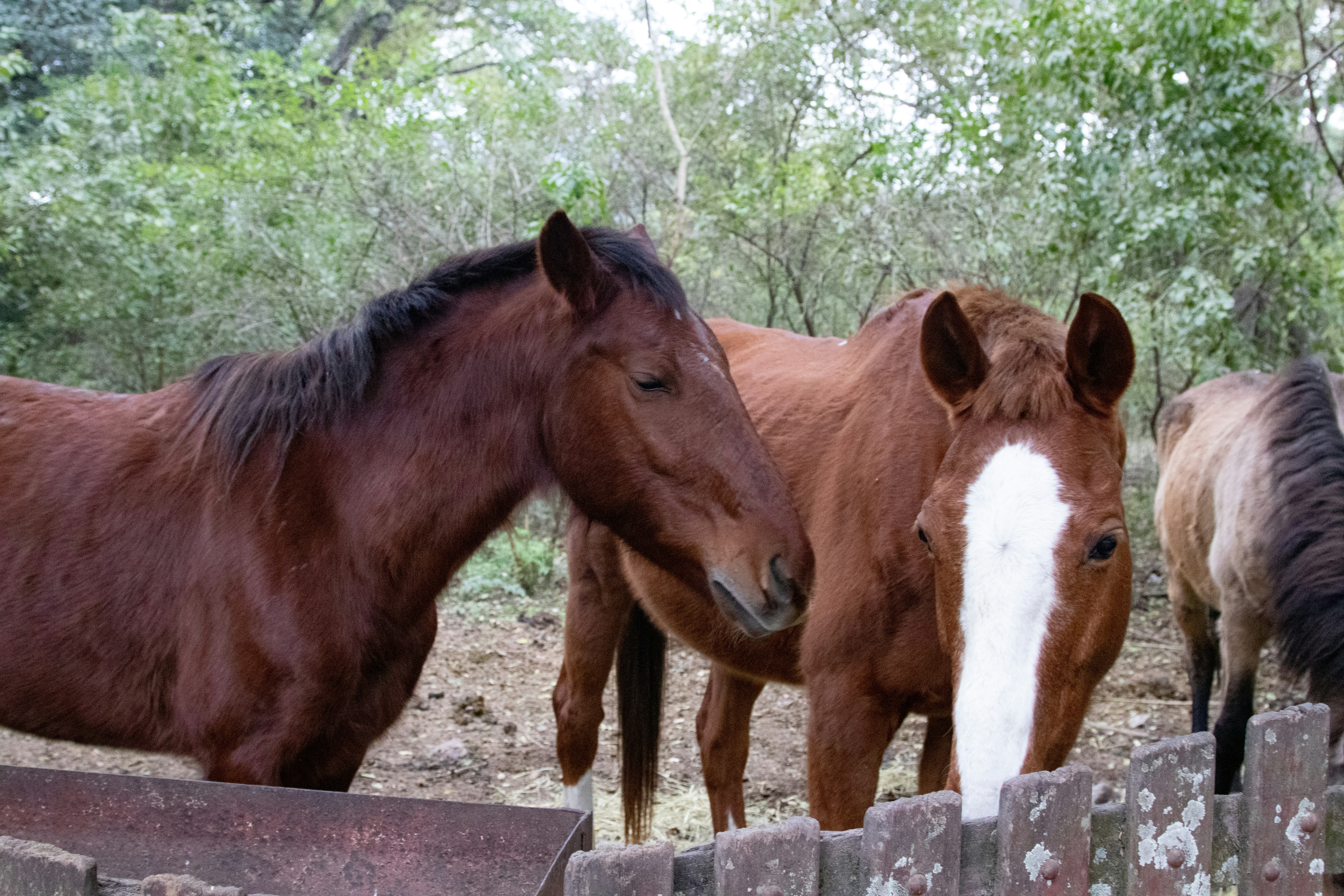 Photo by sonianadales