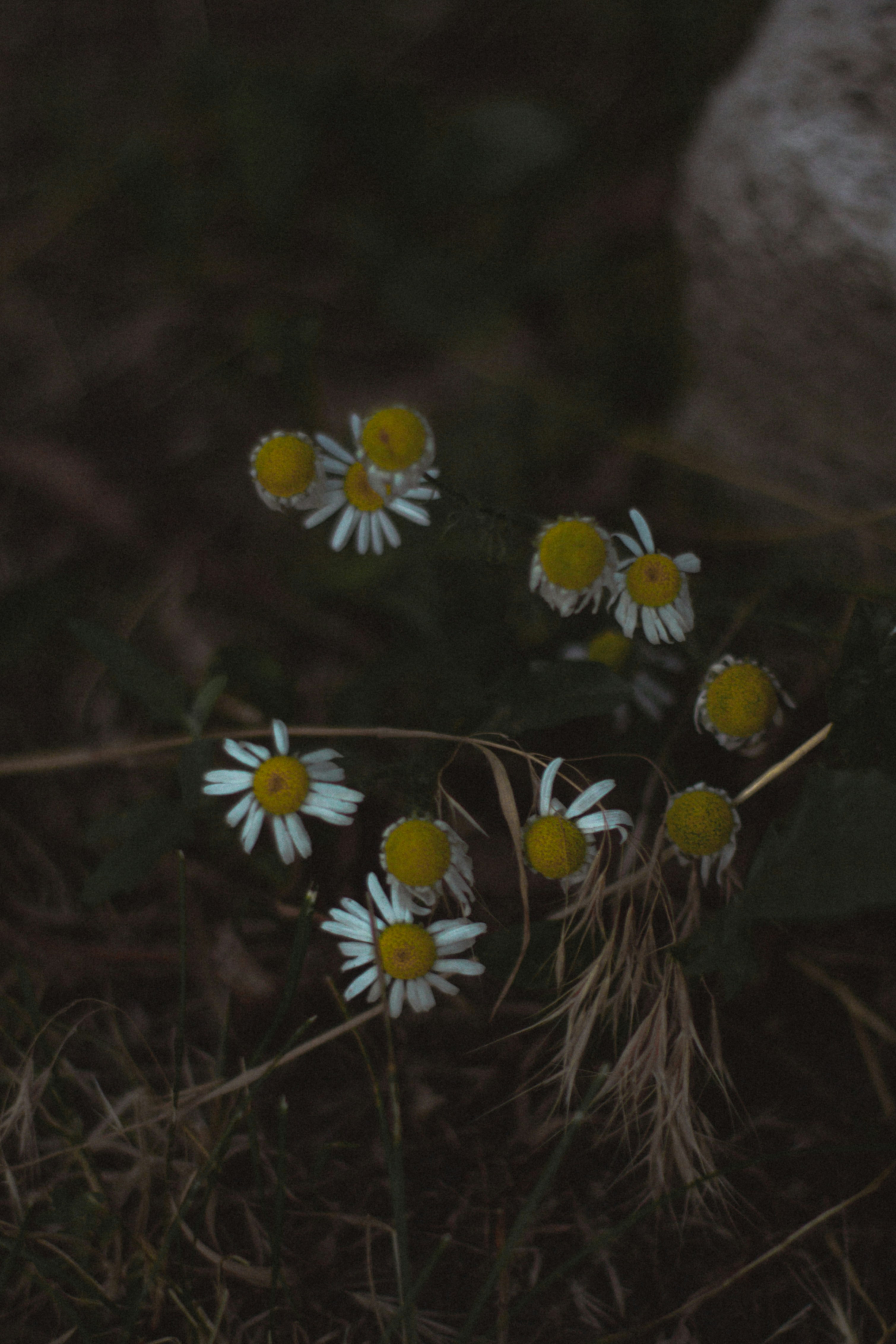 Photo by svitlana_rusak