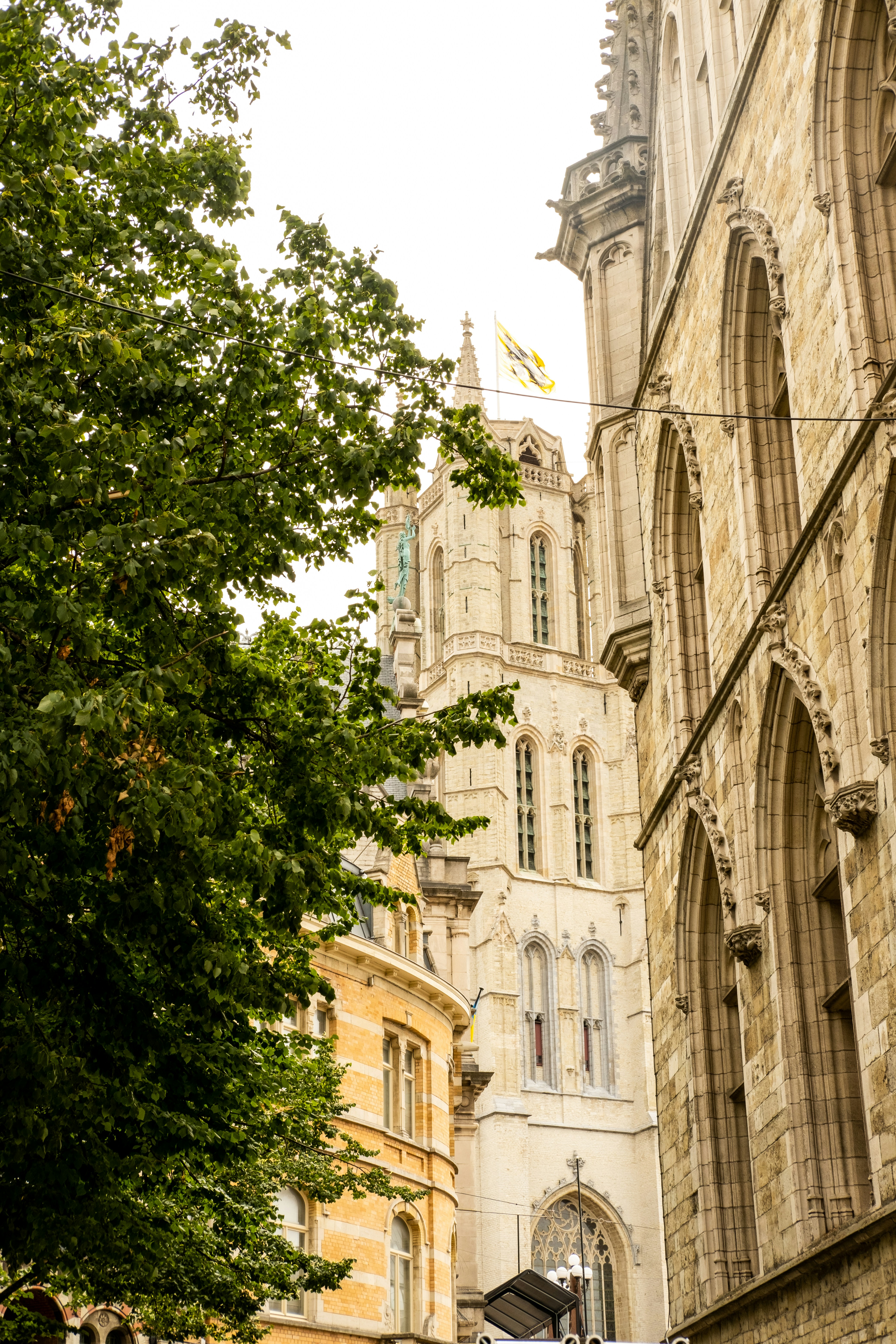 Photo by dana_andreea