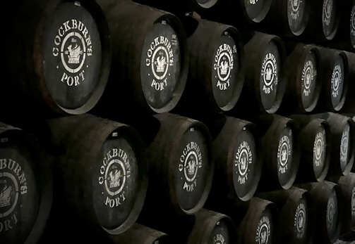 Visitors enjoying a tasting of traditional Port wine in a cozy cellar in Vila Nova de Gaia.