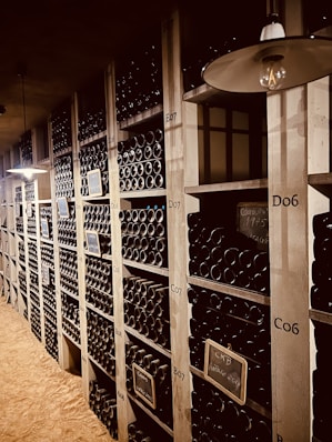 a large room with shelves of wine bottles